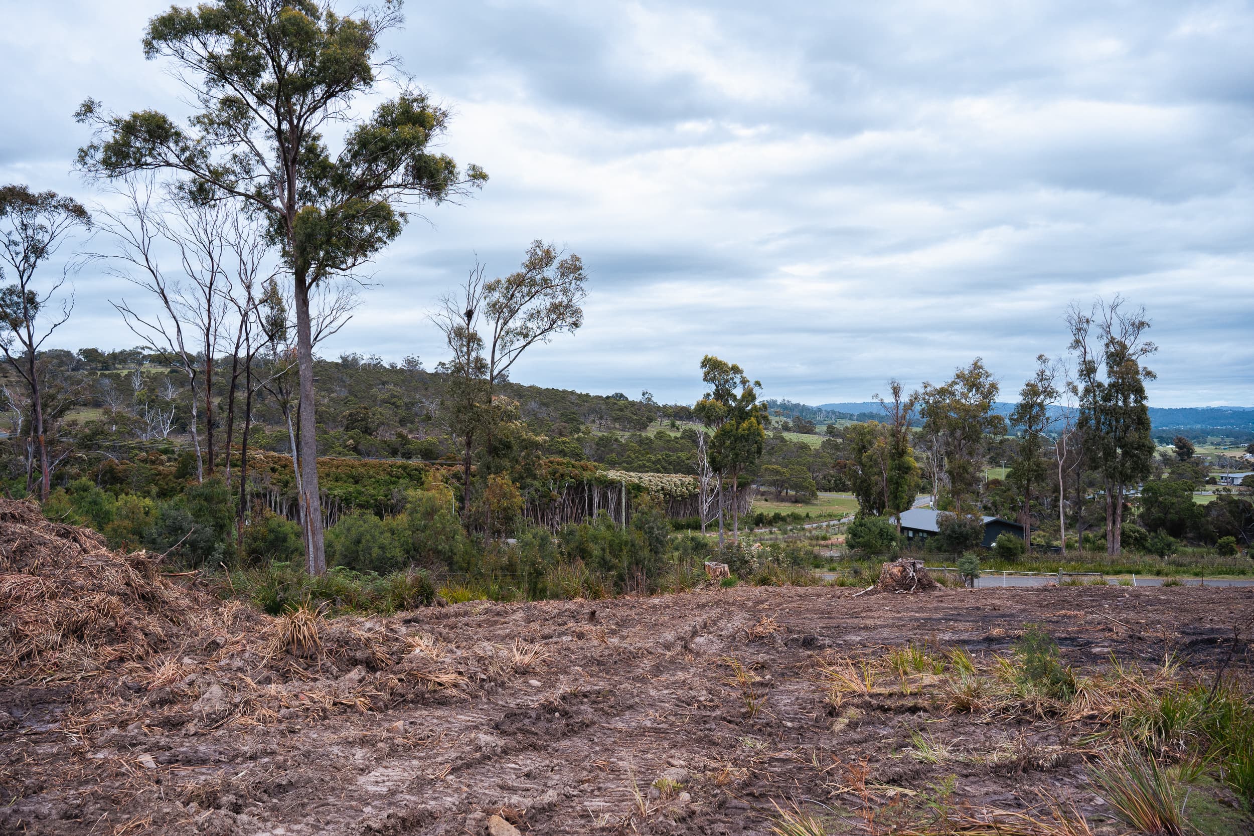 8 Ardea Drive, Swan Bay, Swan Bay - Thumbnail 7