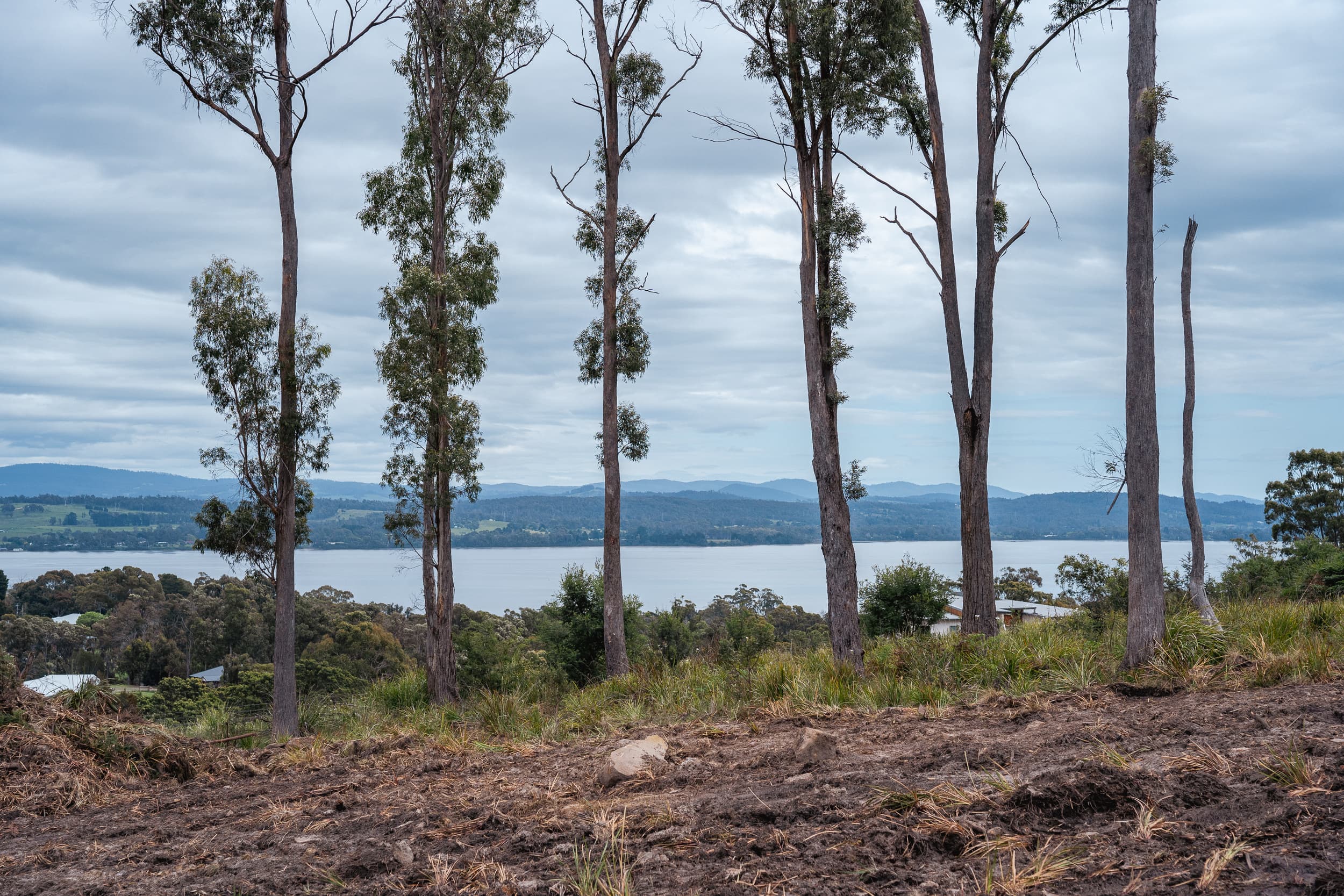 8 Ardea Drive, Swan Bay, Swan Bay - Thumbnail 8