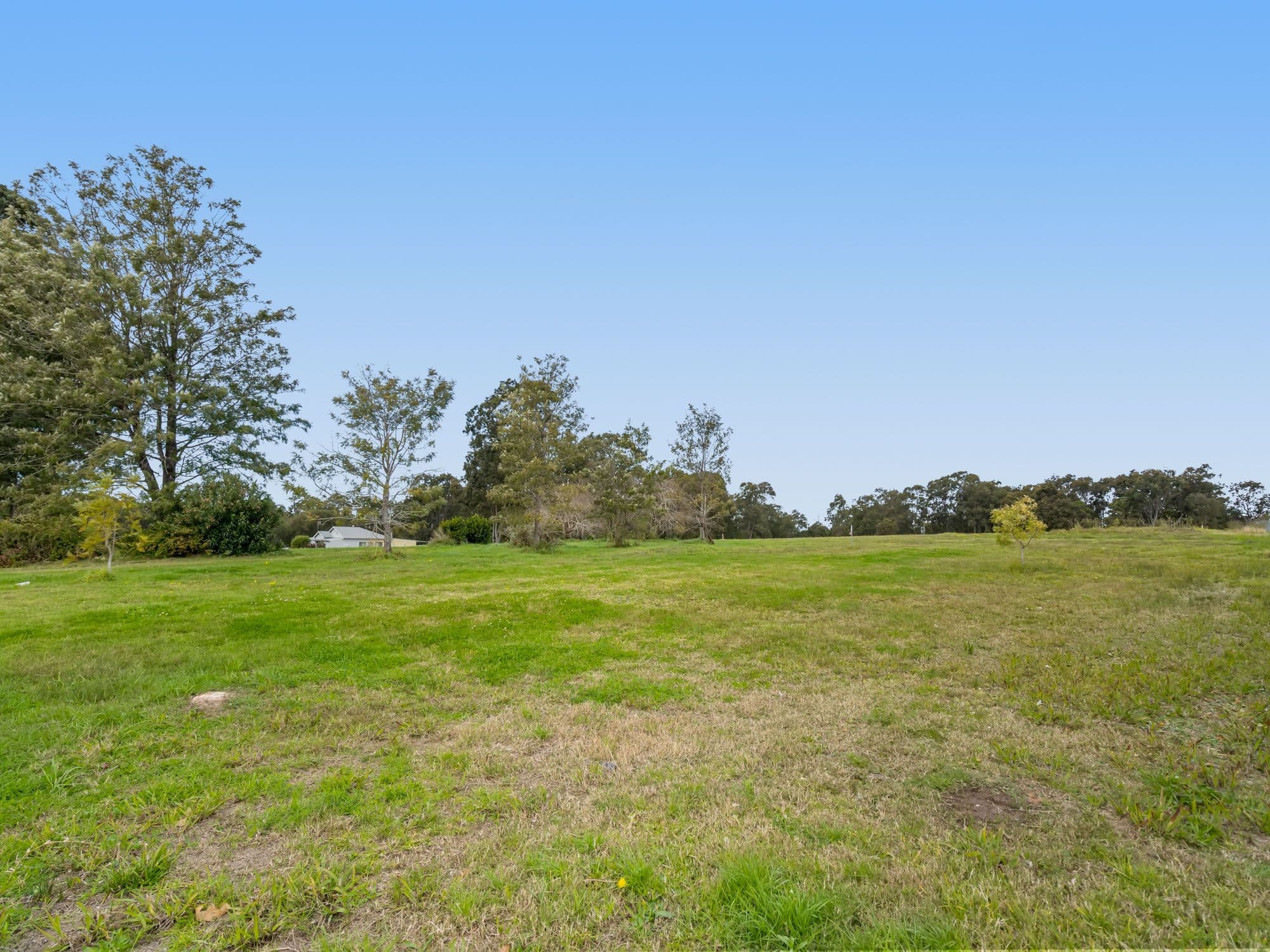 Lot 16 Durian Street, Wadalba, Wadalba - Thumbnail 3
