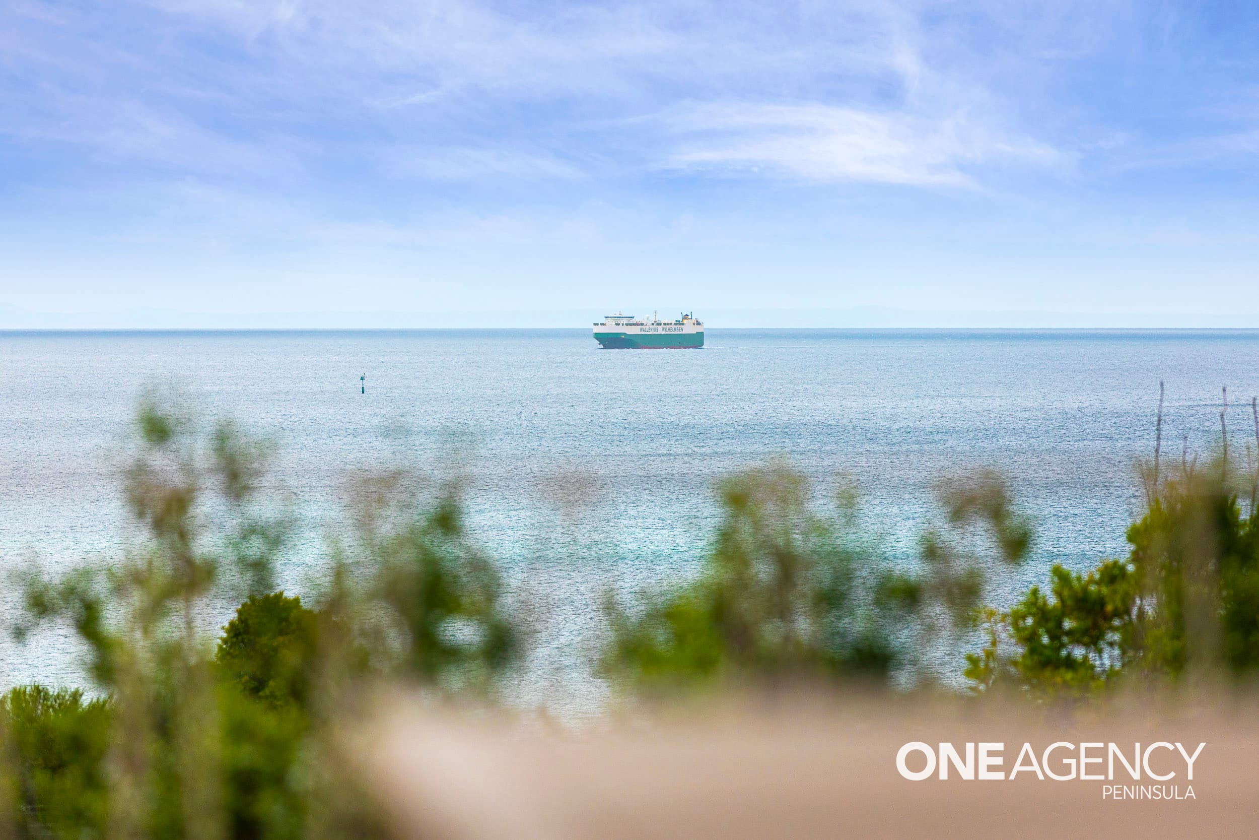 21a Grant Street, Dromana, Dromana - Thumbnail 4