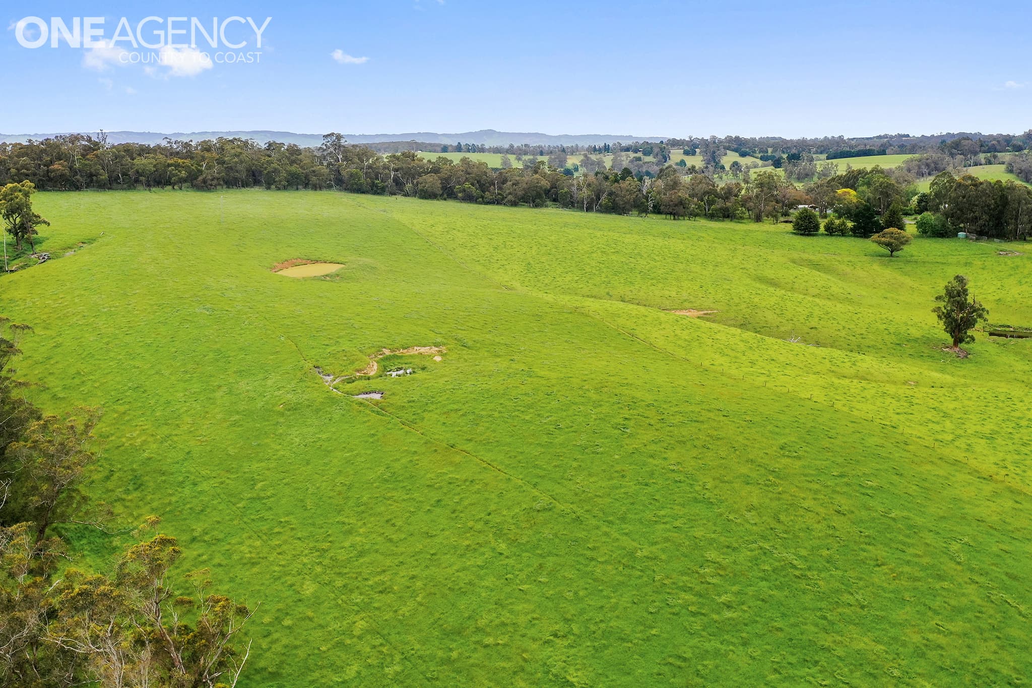 Lot 2 - 2215 Old Sale Road, Shady Creek, Shady Creek - Thumbnail 5