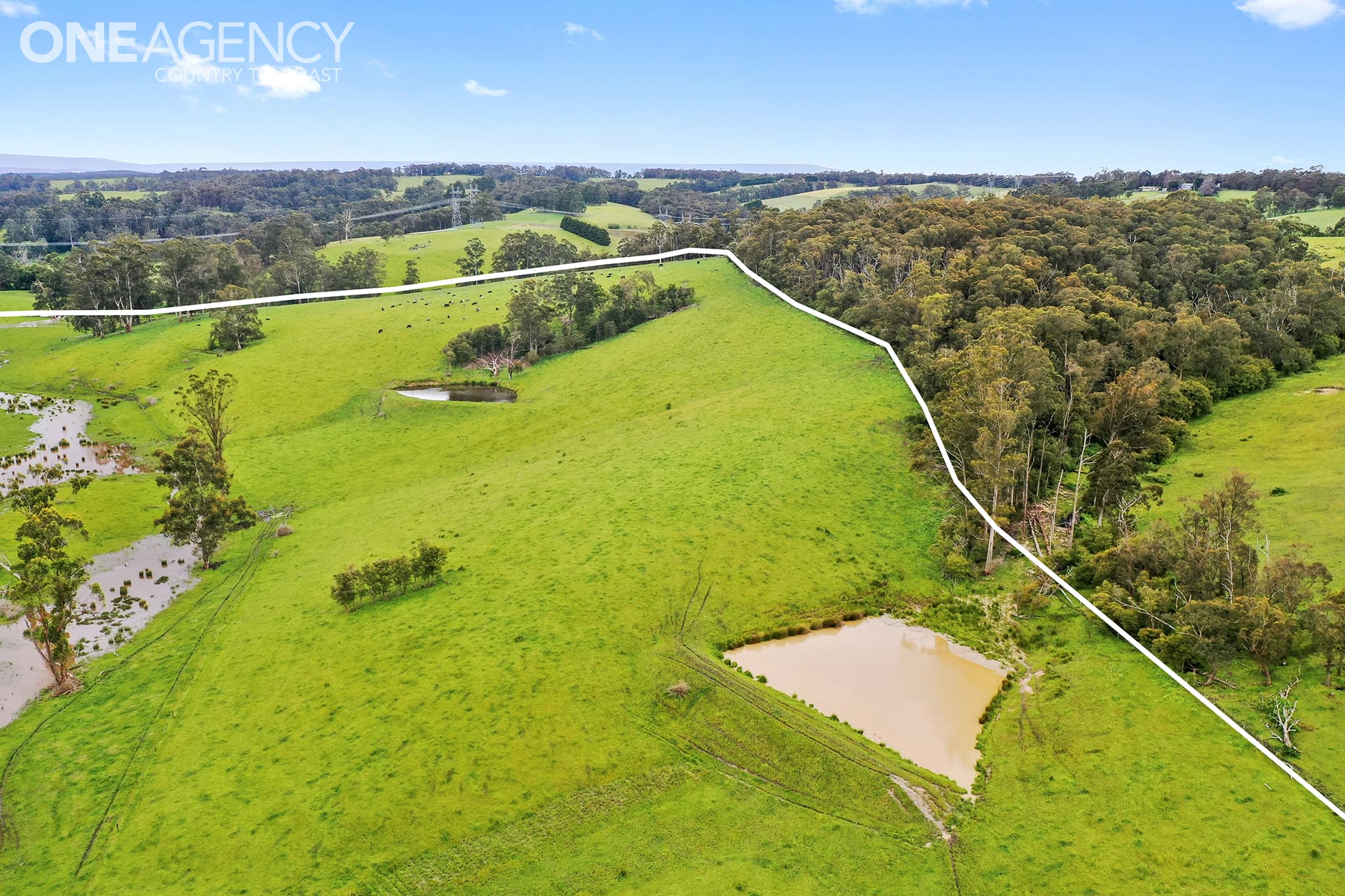 Lot 2 - 2215 Old Sale Road, Shady Creek, Shady Creek - Thumbnail 8