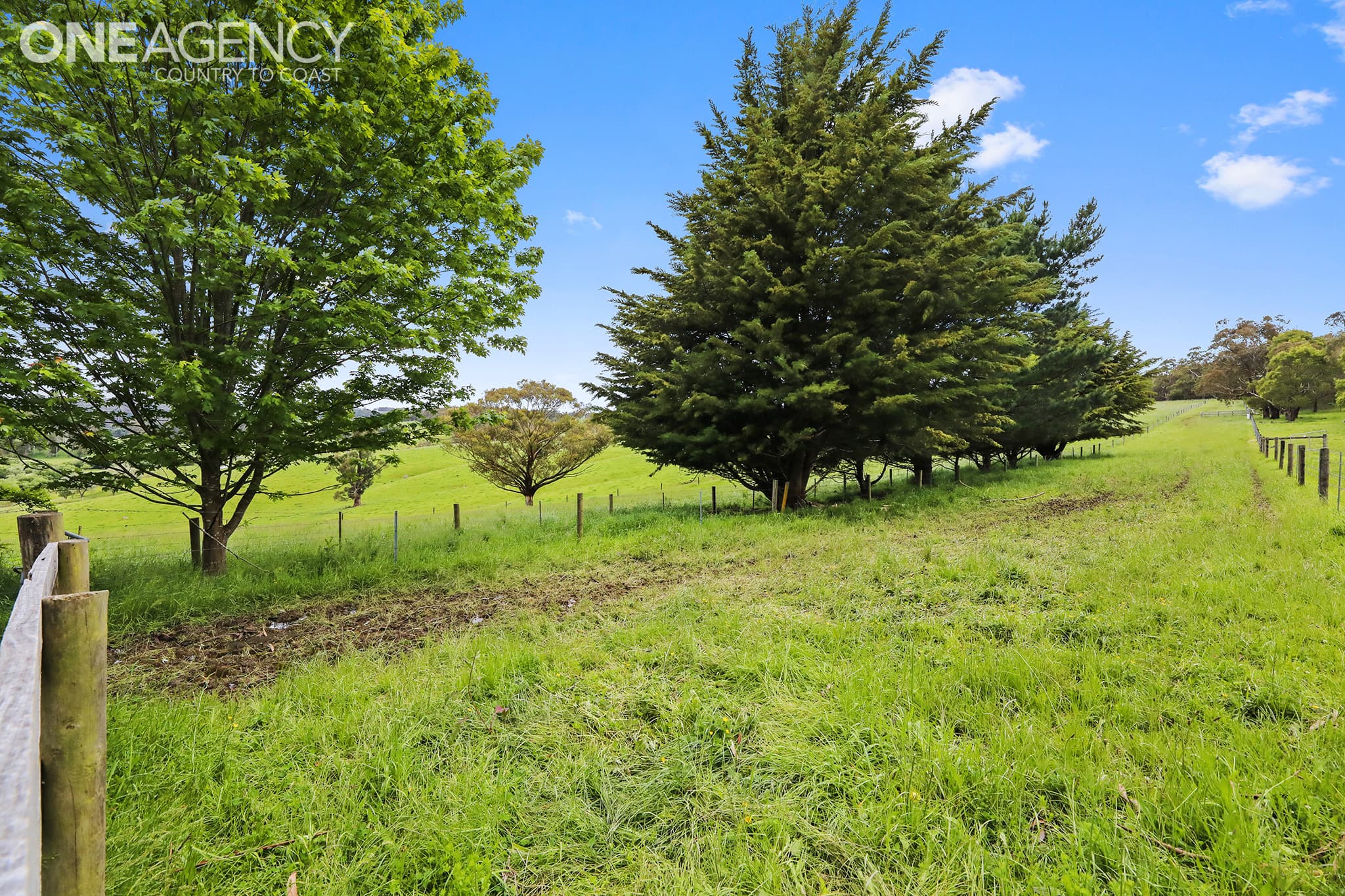 Lot 2 - 2215 Old Sale Road, Shady Creek, Shady Creek - Thumbnail 2