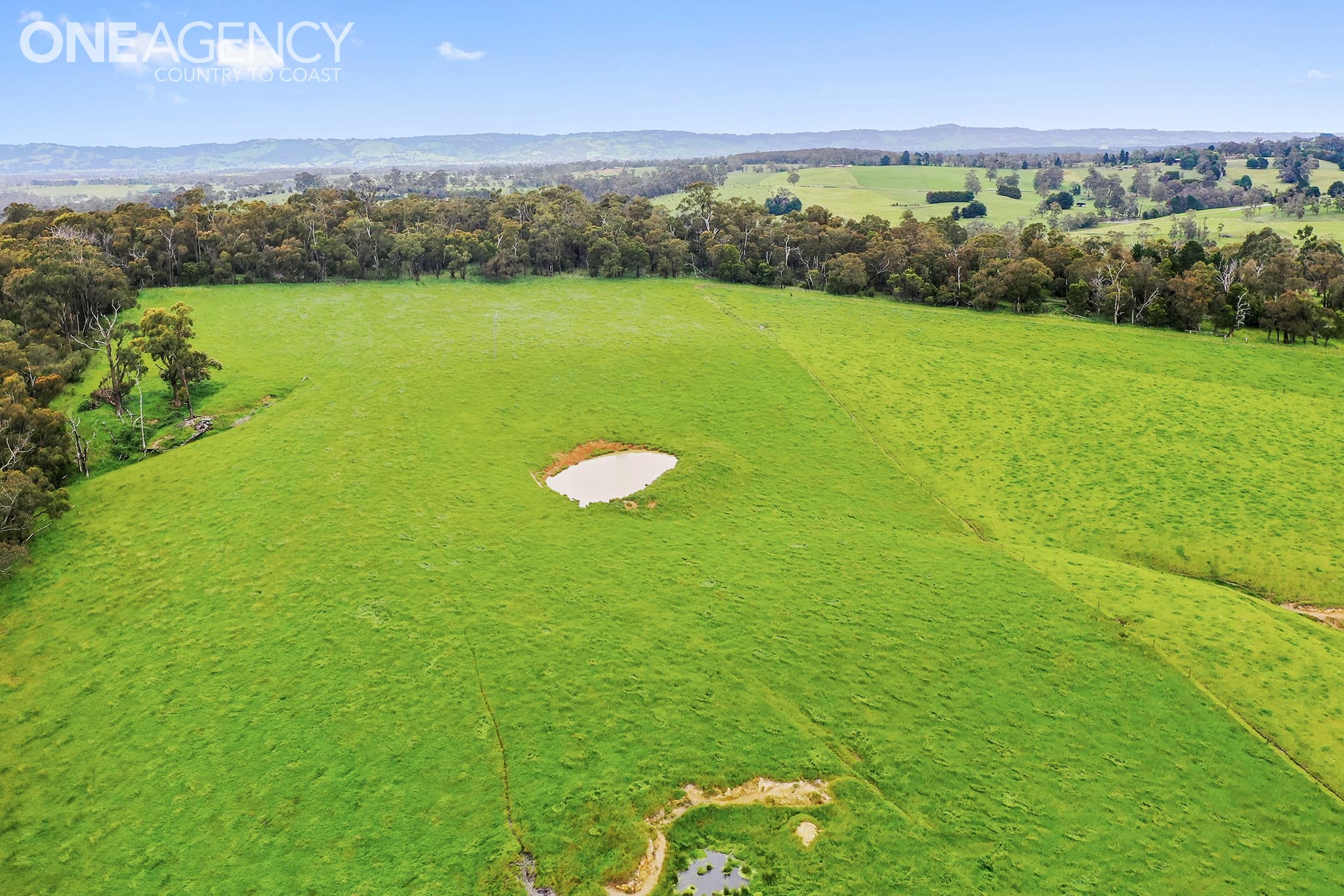 Lot 2 - 2215 Old Sale Road, Shady Creek, Shady Creek - Thumbnail 3
