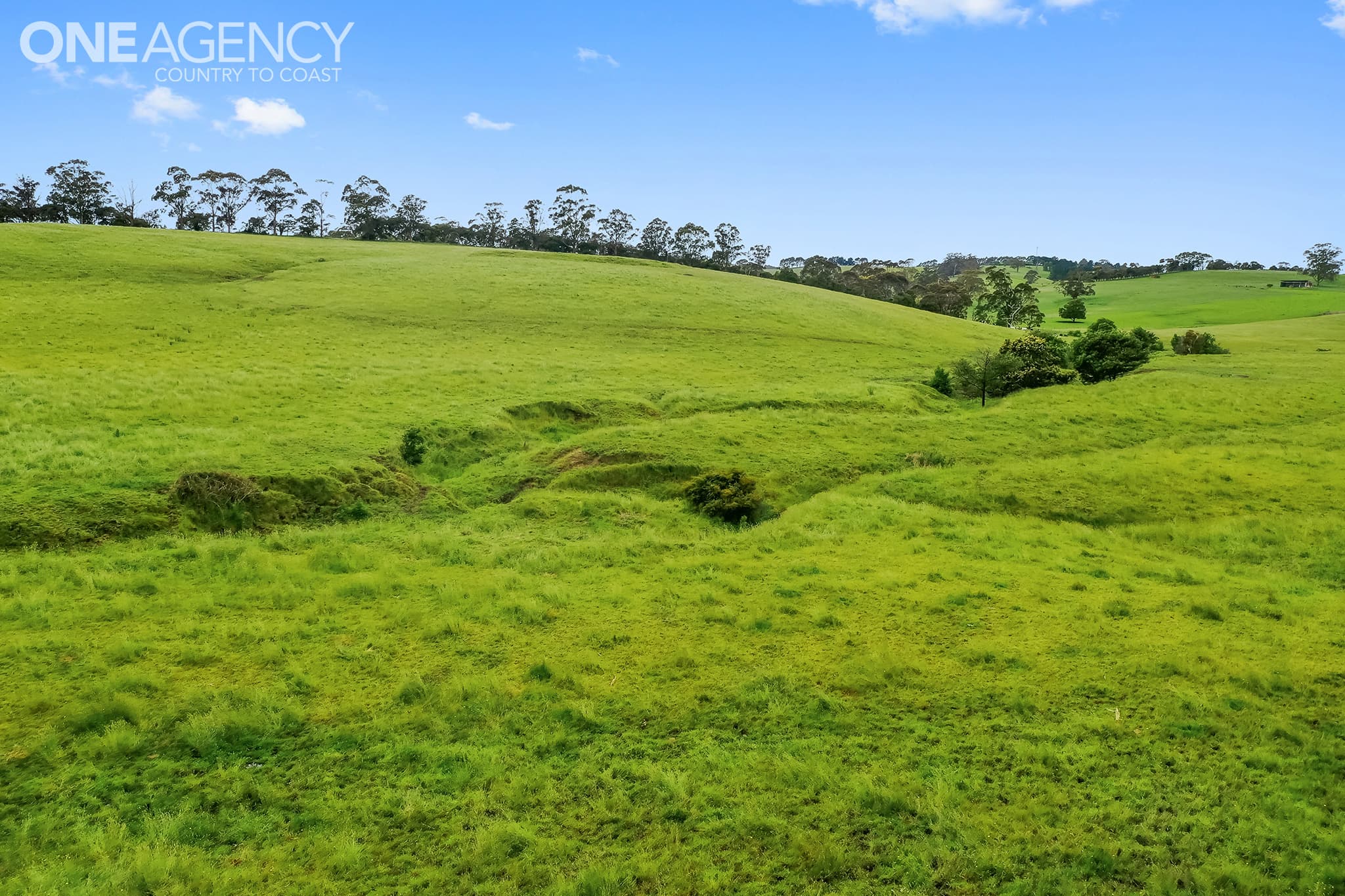 235 Sheehan Road, Hallora, Hallora - Thumbnail 6