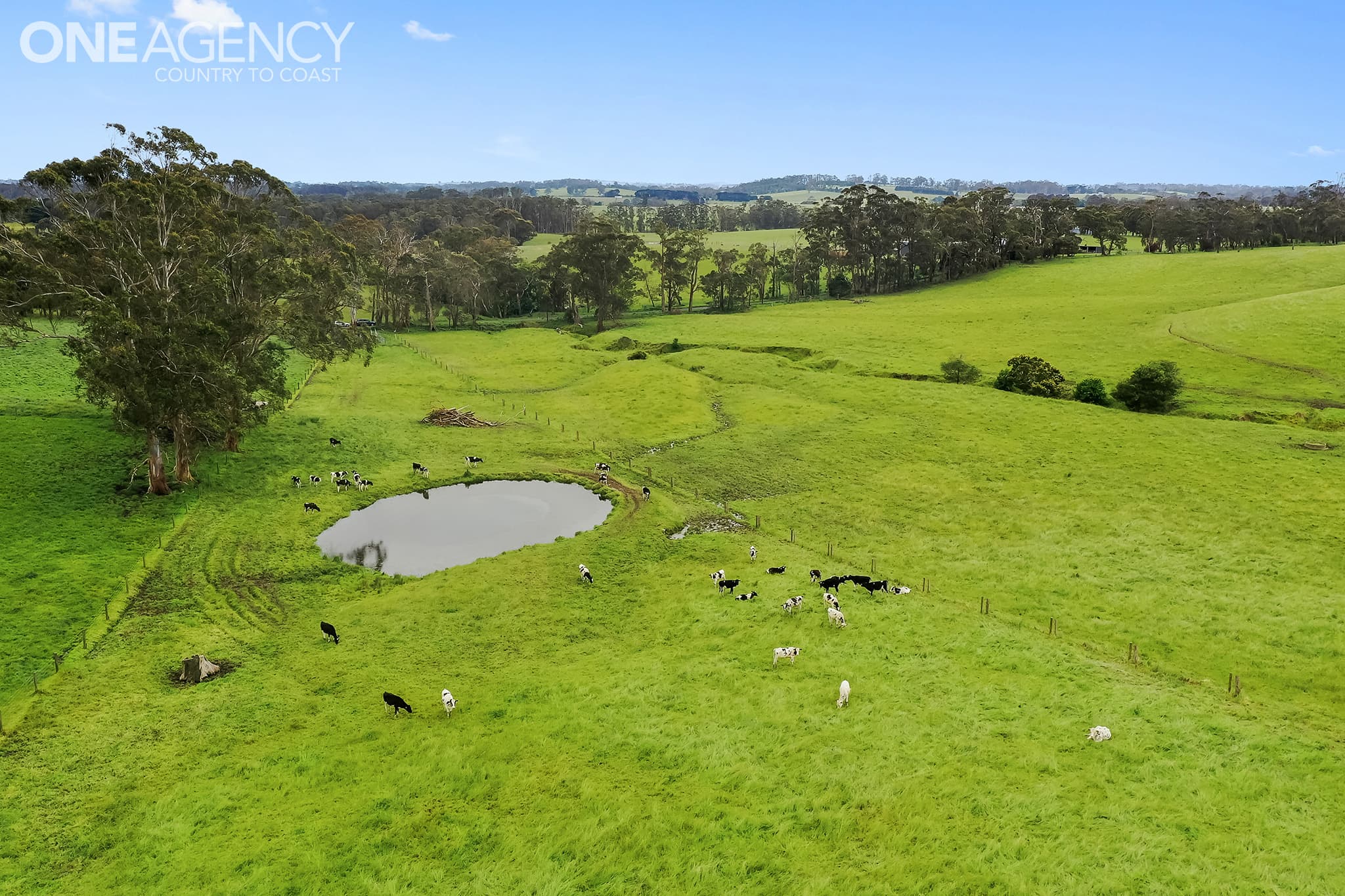 235 Sheehan Road, Hallora, Hallora - Thumbnail 4