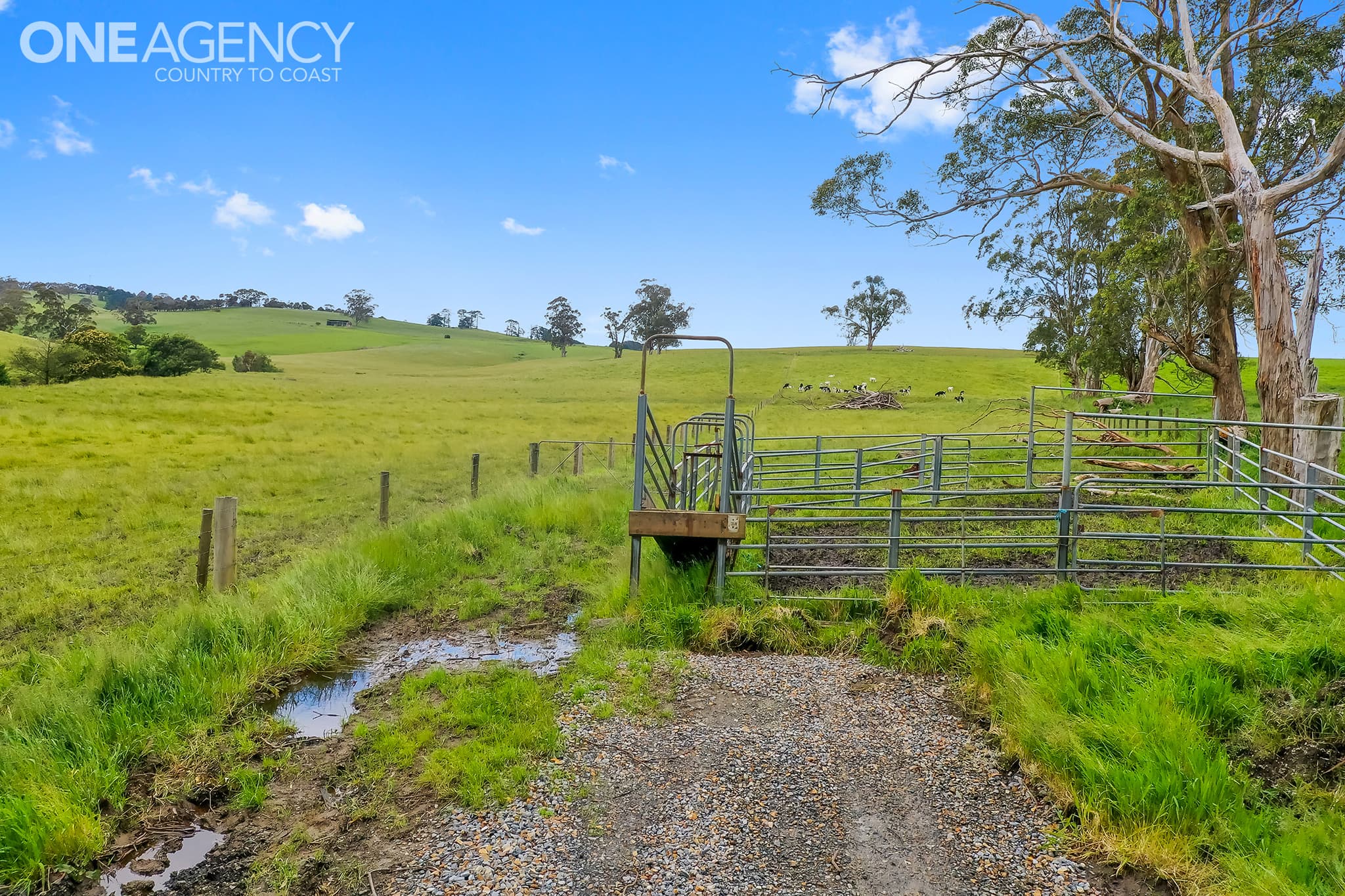 235 Sheehan Road, Hallora, Hallora - Thumbnail 3