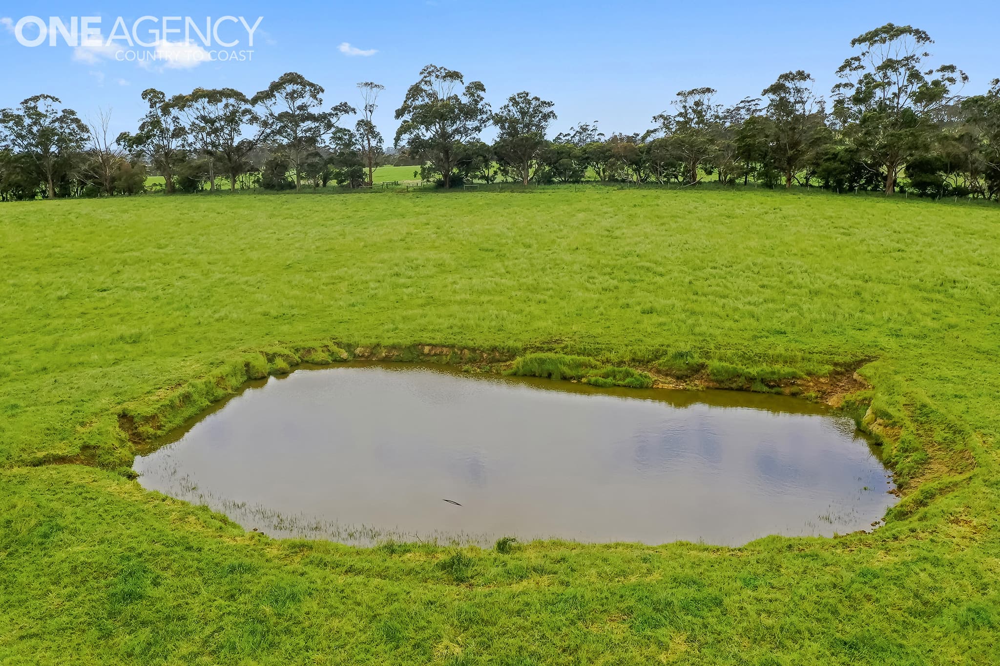 235 Sheehan Road, Hallora, Hallora - Thumbnail 5