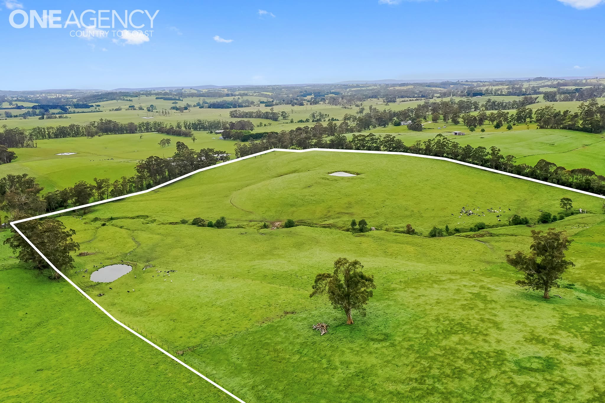 235 Sheehan Road, Hallora, Hallora - Thumbnail 2