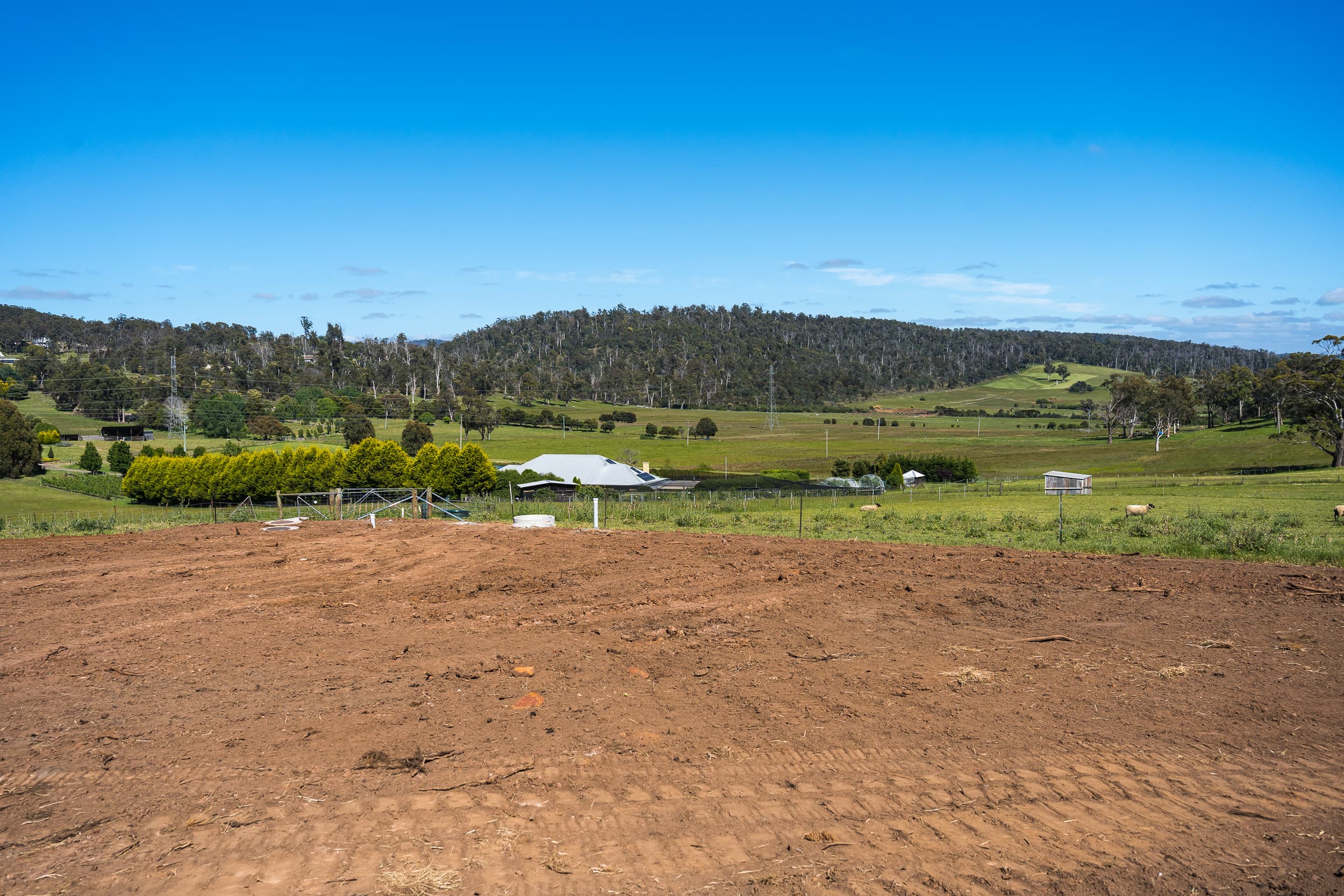 152 Cormiston Road, Riverside, Riverside - Thumbnail 3