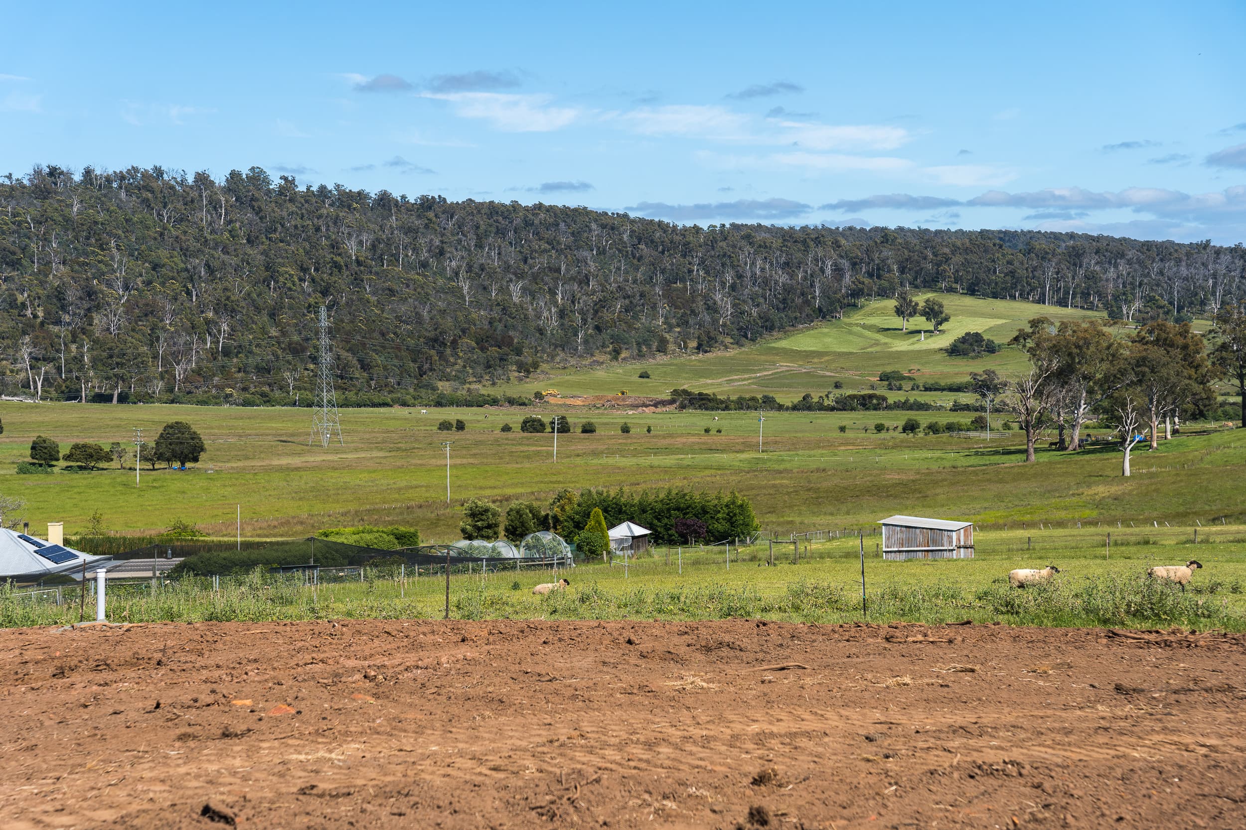 152 Cormiston Road, Riverside, Riverside - Thumbnail 6