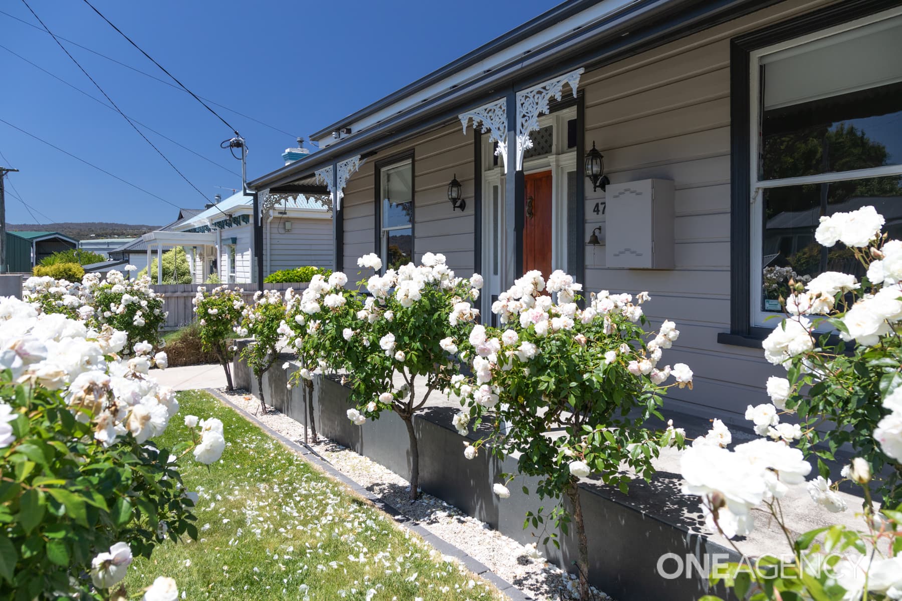 47 Bryan Street, Invermay, Invermay - Thumbnail 4