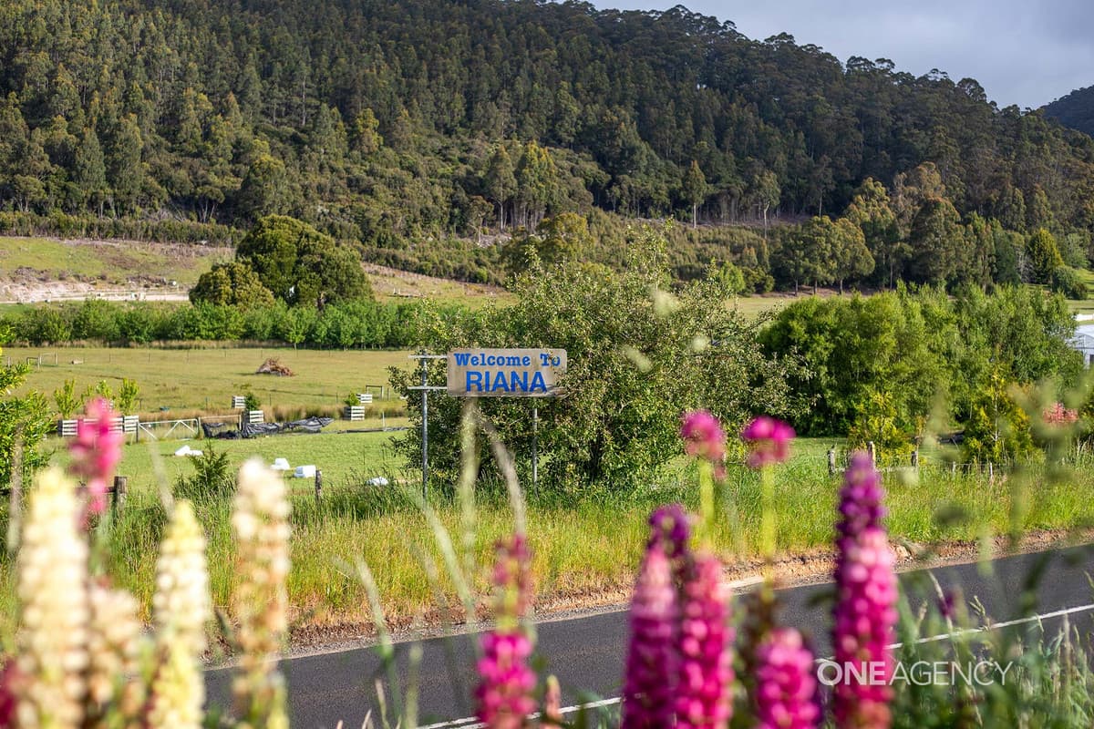 1172 Pine Road, Riana, Riana - Thumbnail 2