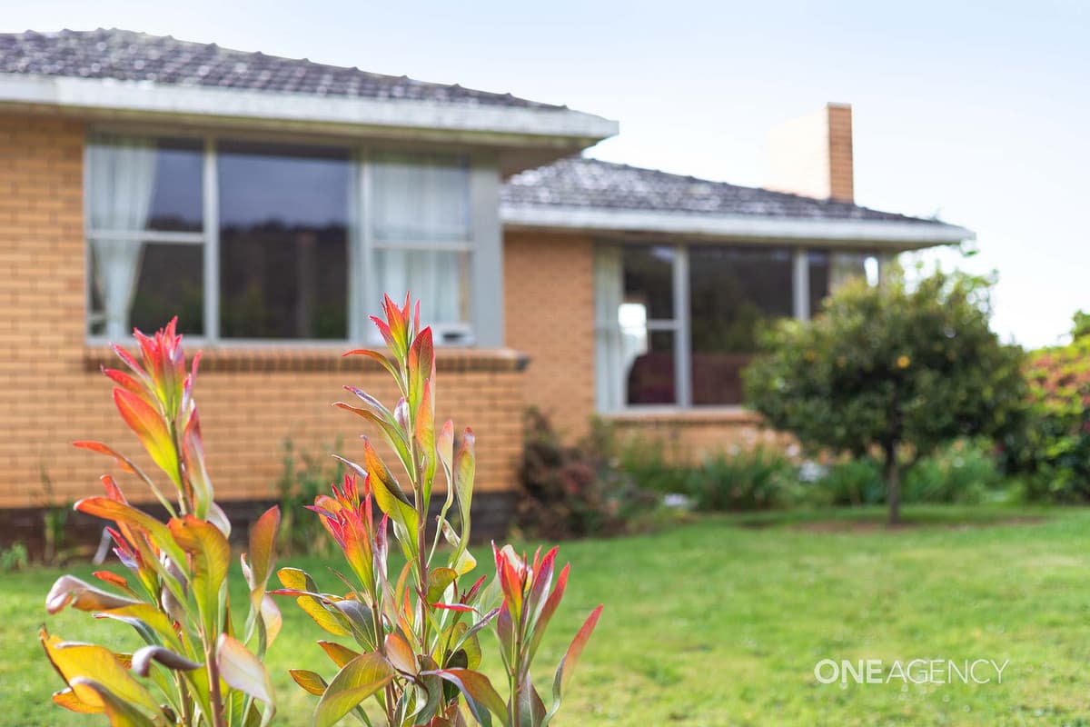 1172 Pine Road, Riana, Riana - Thumbnail 4