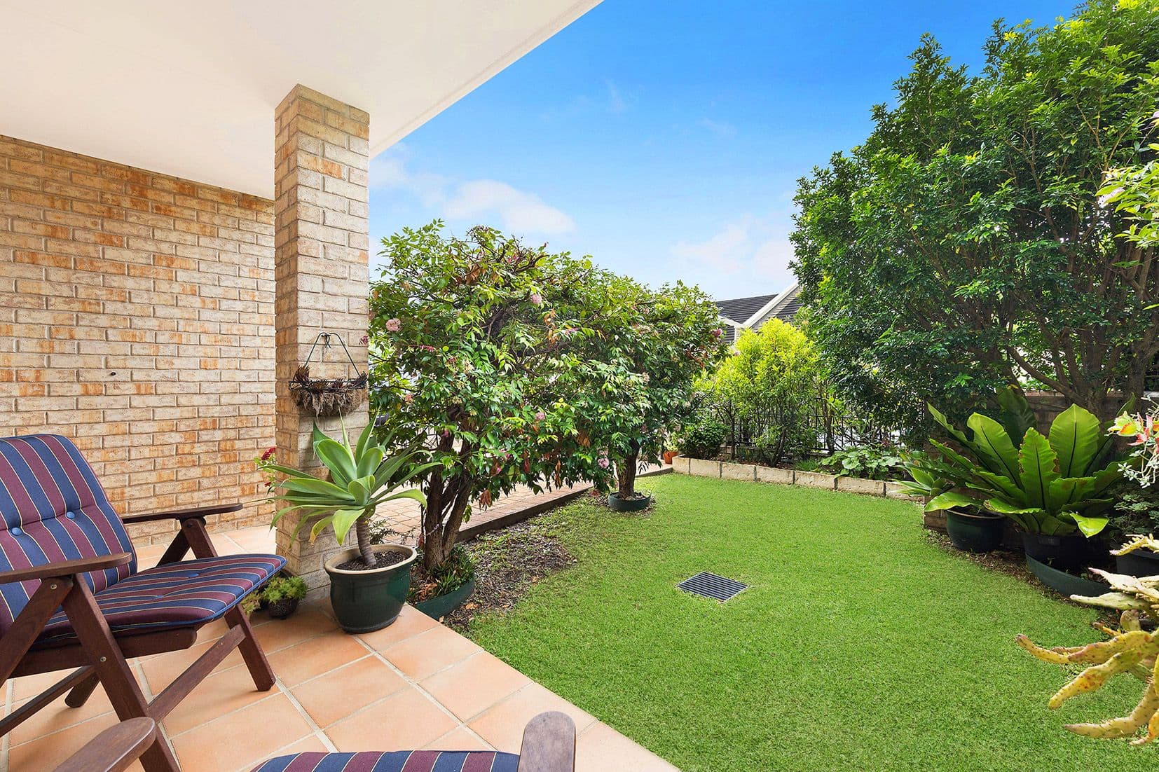 12/17 Forestville Avenue, Forestville, Forestville - Thumbnail 2