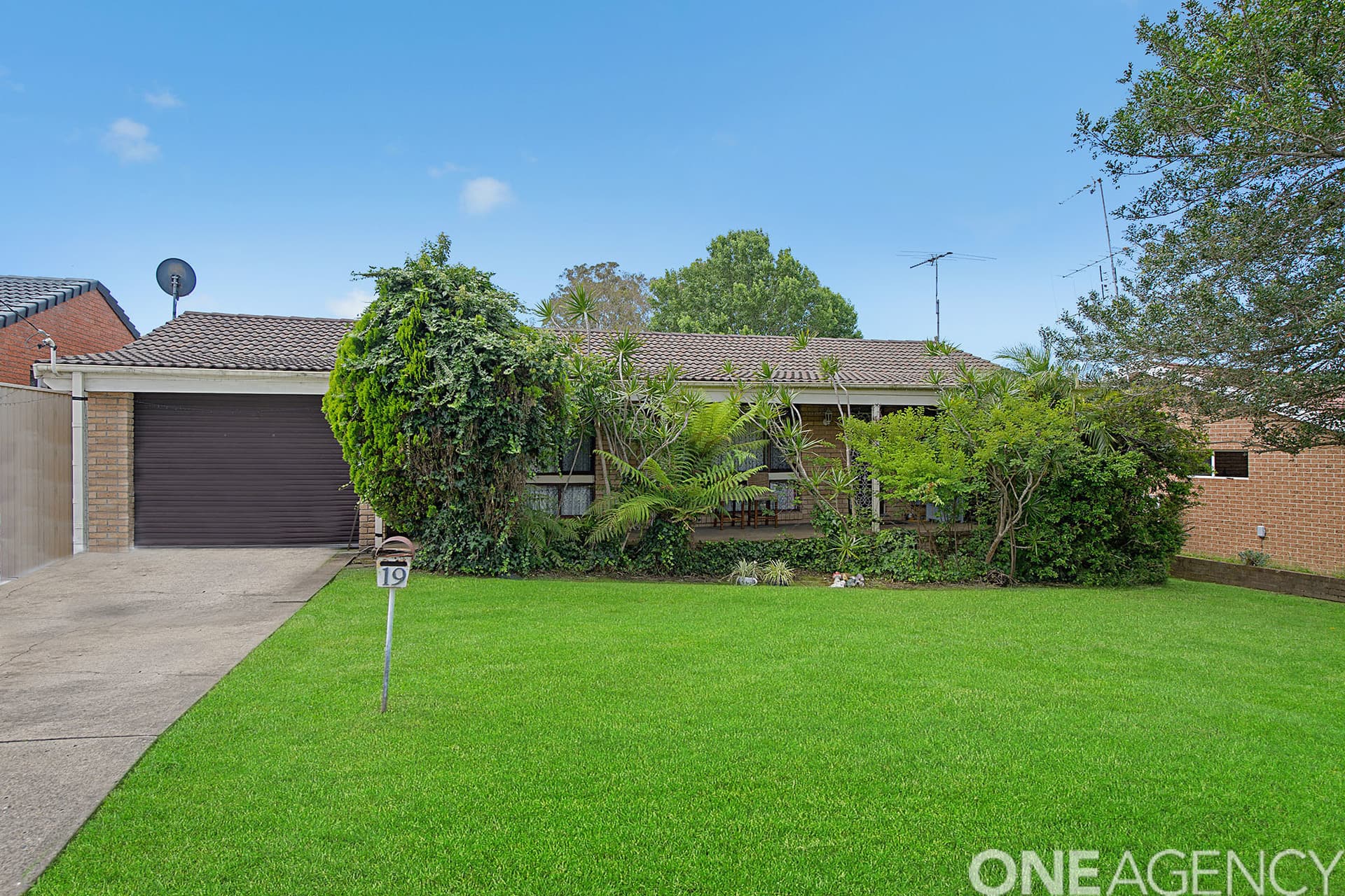 19 Weismantle Street, Wauchope, Wauchope - Image 1