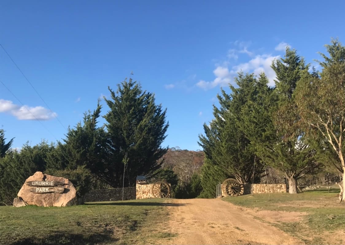 1130 Creewah Road, Creewah, Creewah - Thumbnail 4