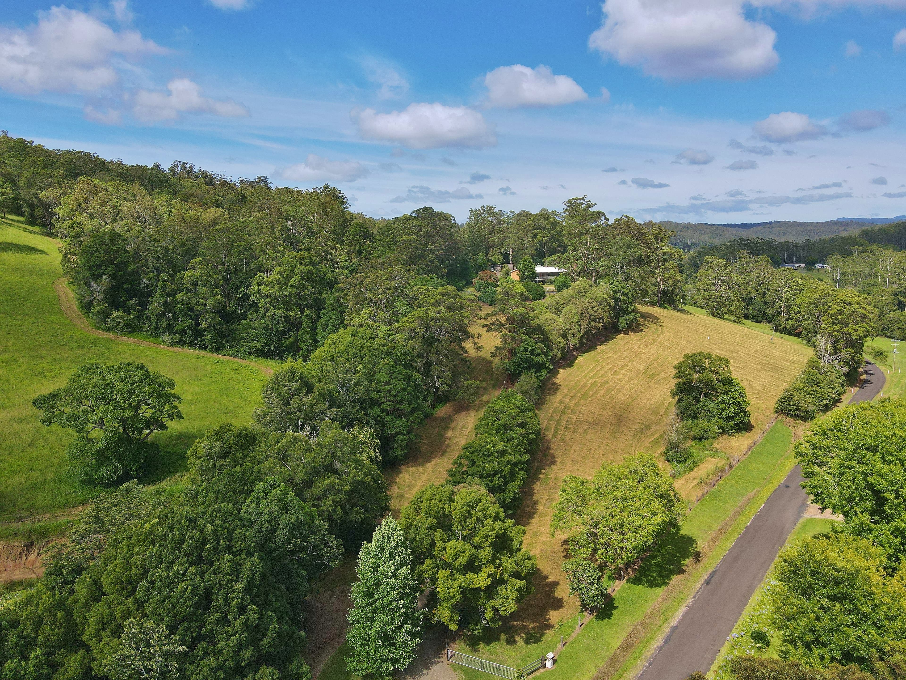 155 North Branch Road, Upsalls Creek, Upsalls Creek - Thumbnail 8