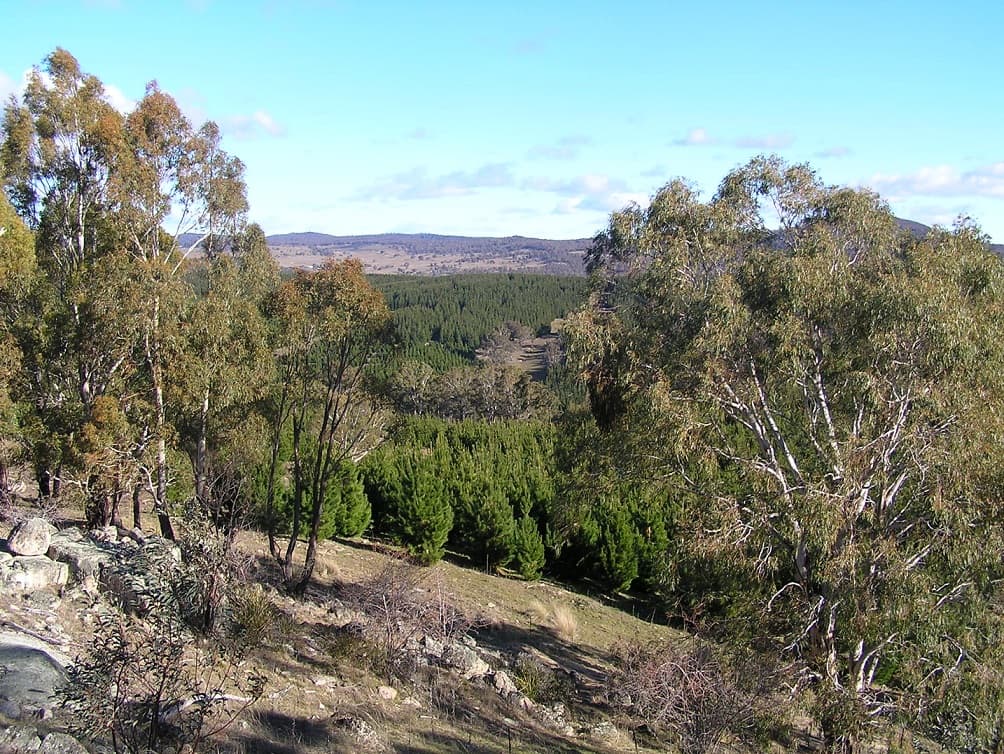 Peak View Road, Peak View, Peak View - Thumbnail 3