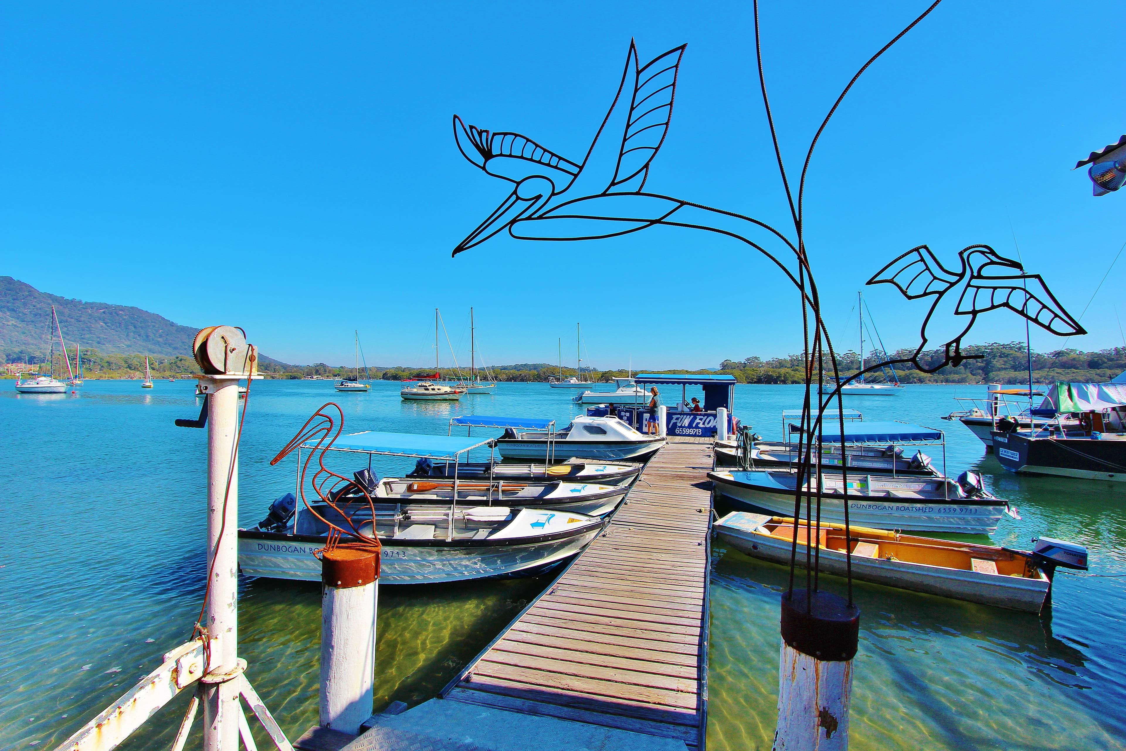 46 The Boulevard, Dunbogan, Dunbogan - Thumbnail 4