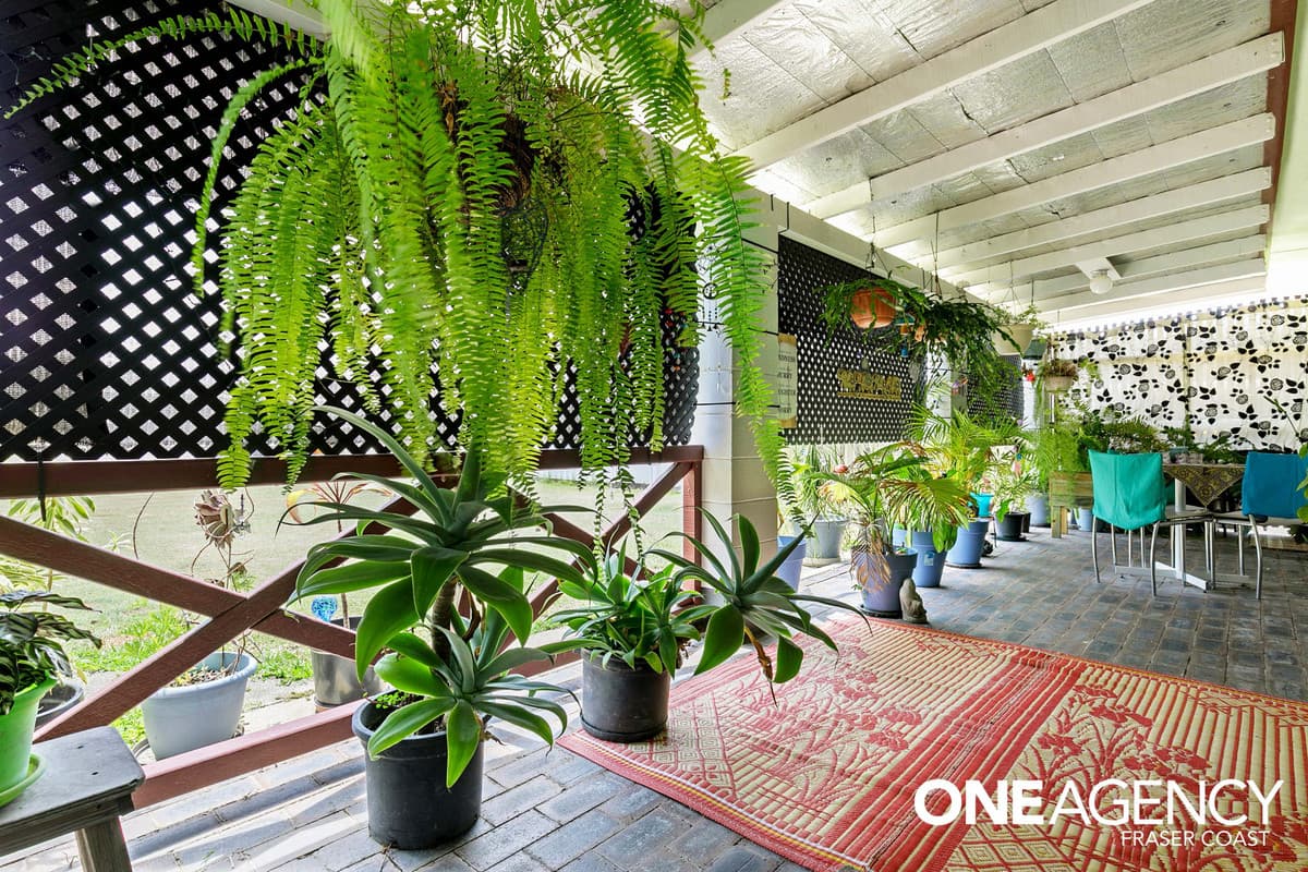 21 Cooloola Crescent, Urangan, Urangan - Thumbnail 4