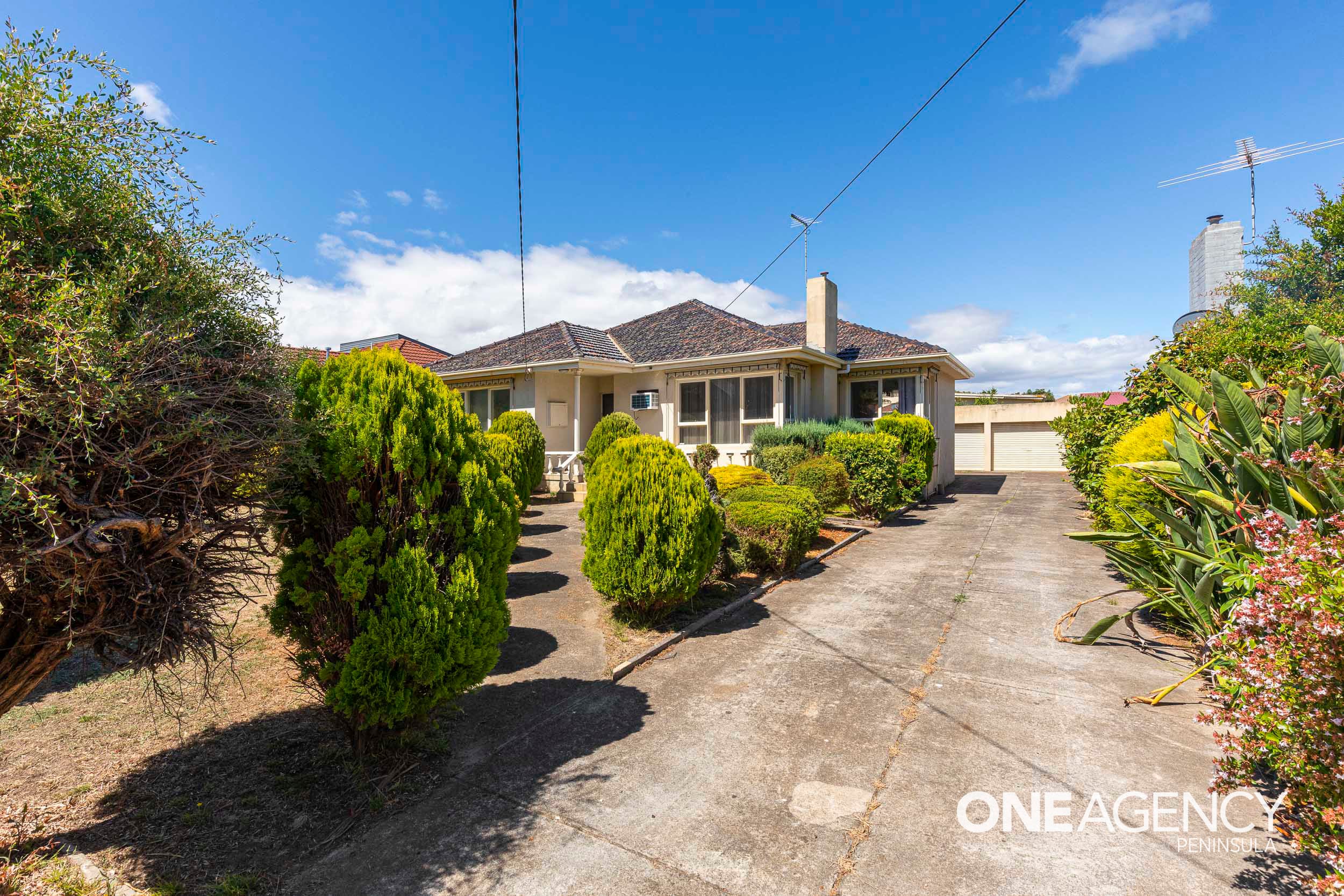 14 Van Ness Avenue, Mornington, Mornington - Thumbnail 8