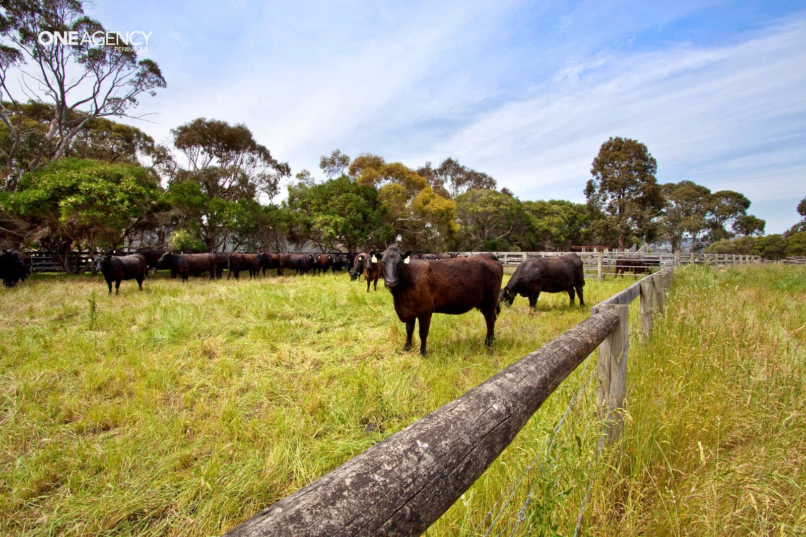 50 Upsndowns Road, Dromana, Dromana - Thumbnail 8