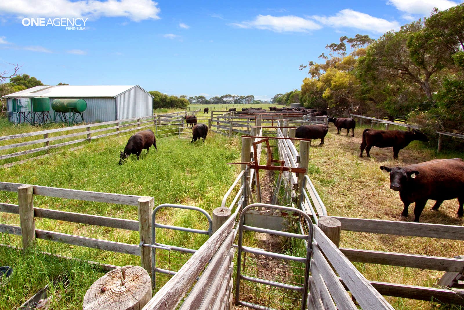 50 Upsndowns Road, Dromana, Dromana - Thumbnail 6