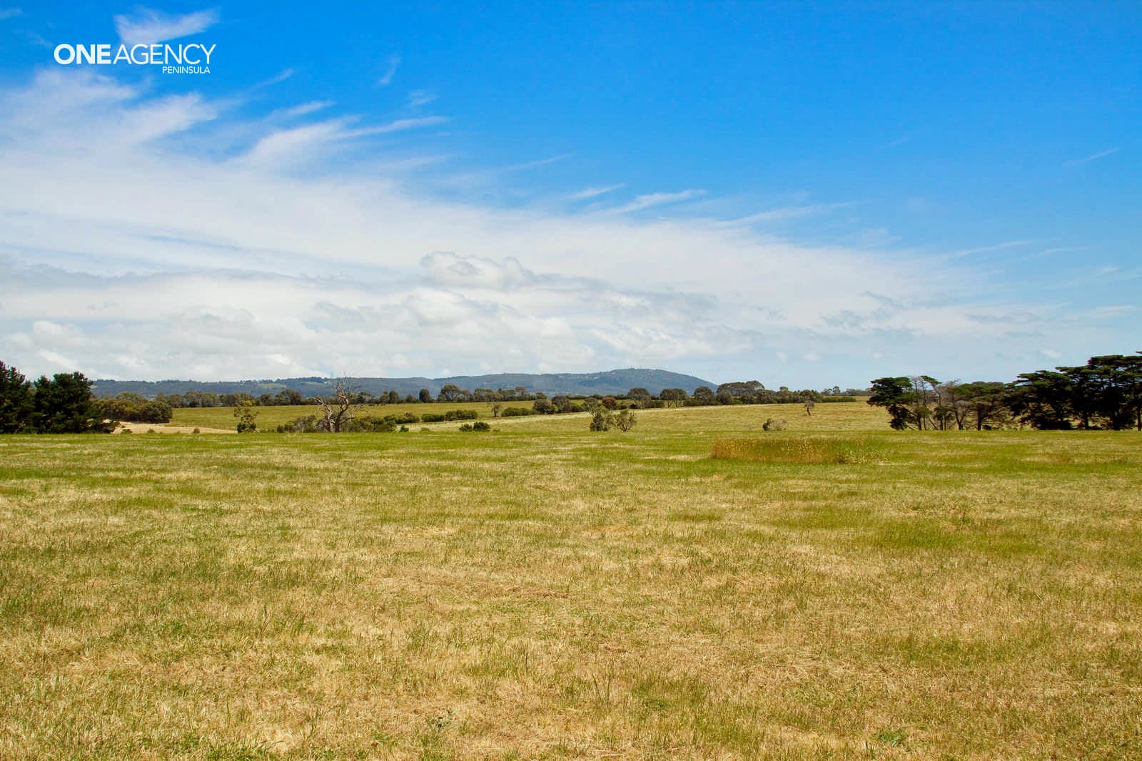 50 Upsndowns Road, Dromana, Dromana - Thumbnail 3
