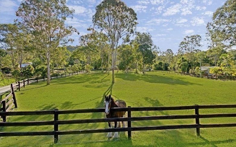 286 Arcoona Road, Yandina Creek, Yandina Creek - Thumbnail 4