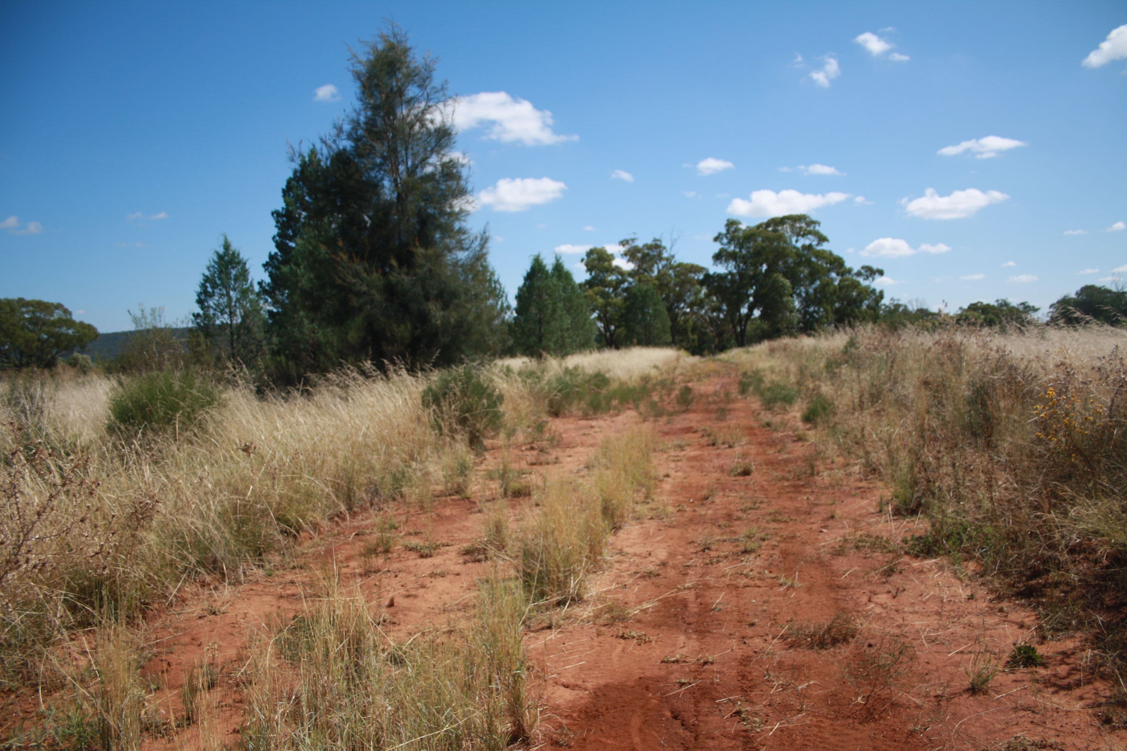 Lot 51 West Street, Bogan Gate, Bogan Gate - Thumbnail 3