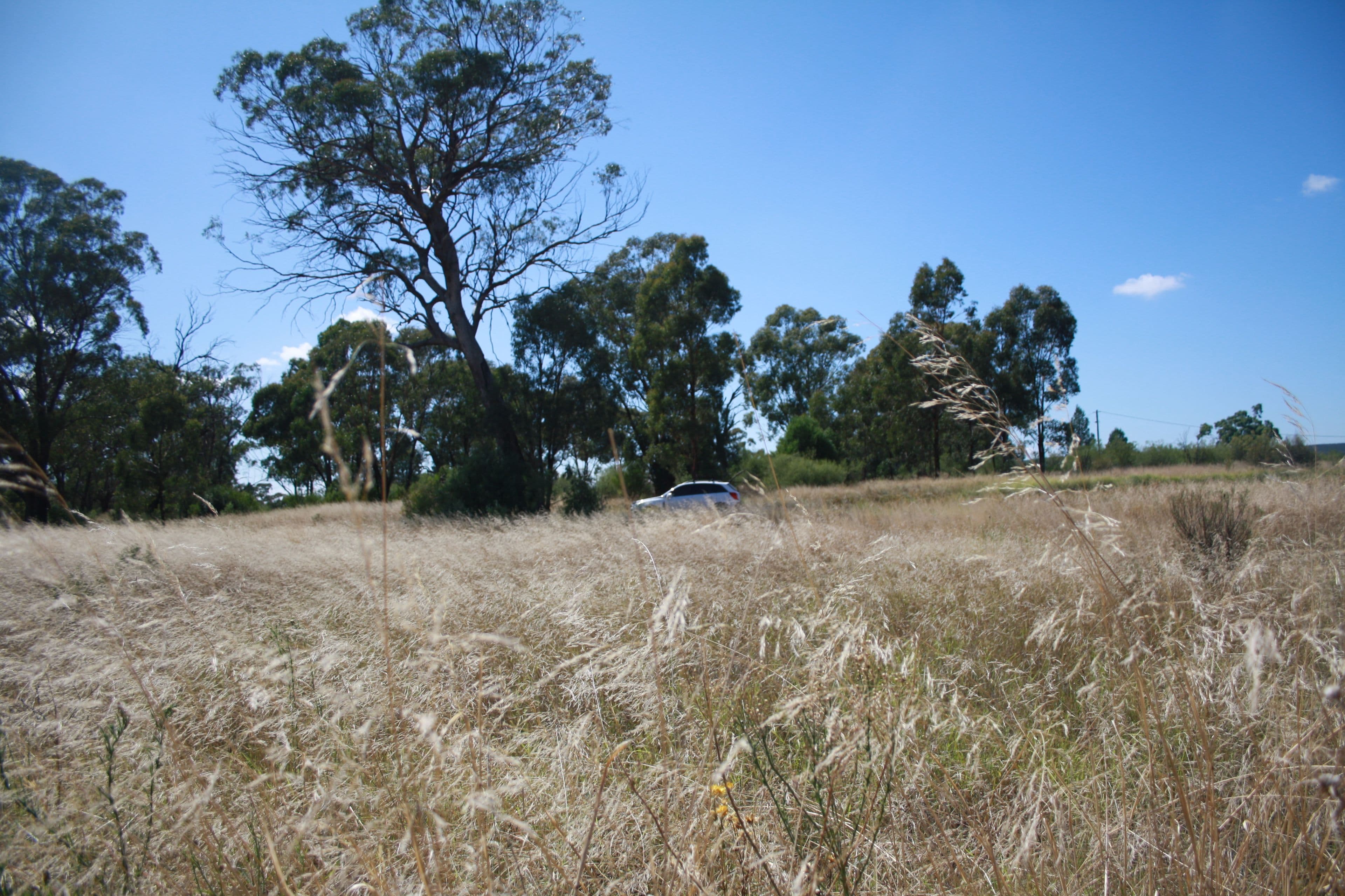 Lot 51 West Street, Bogan Gate, Bogan Gate - Thumbnail 4