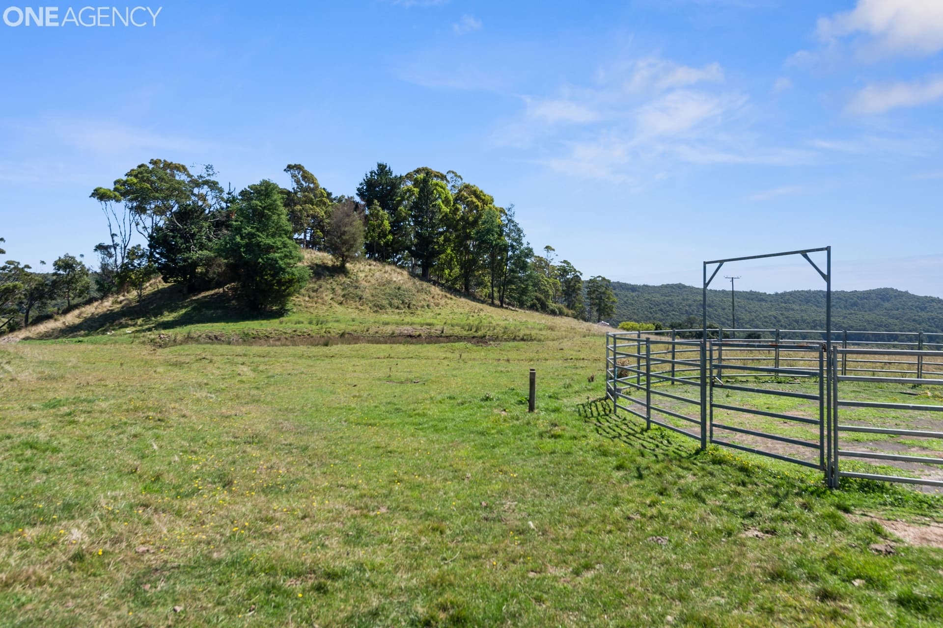 59 Morris Road, Melrose, Melrose - Thumbnail 4