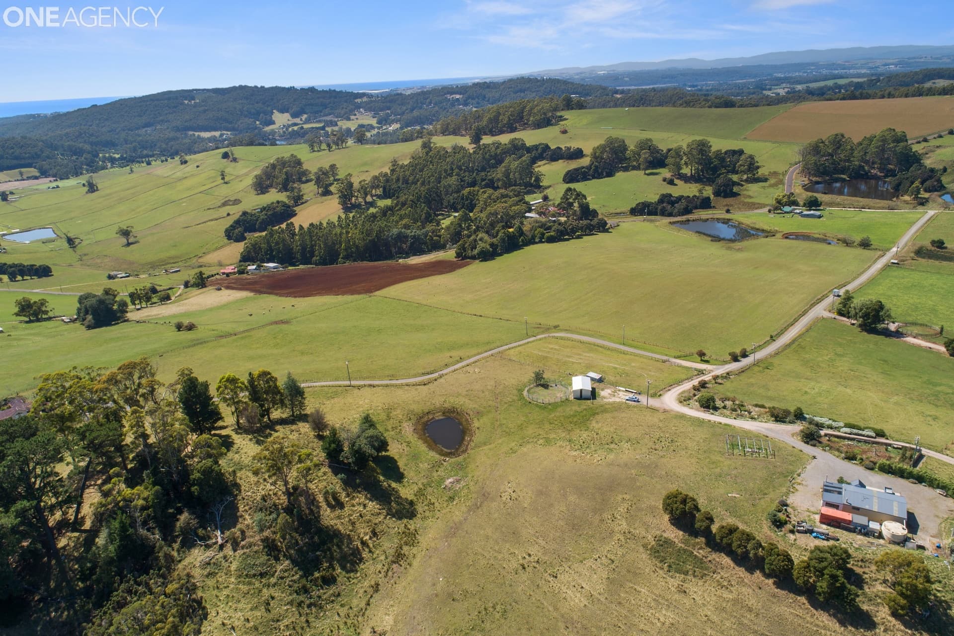 59 Morris Road, Melrose, Melrose - Thumbnail 5