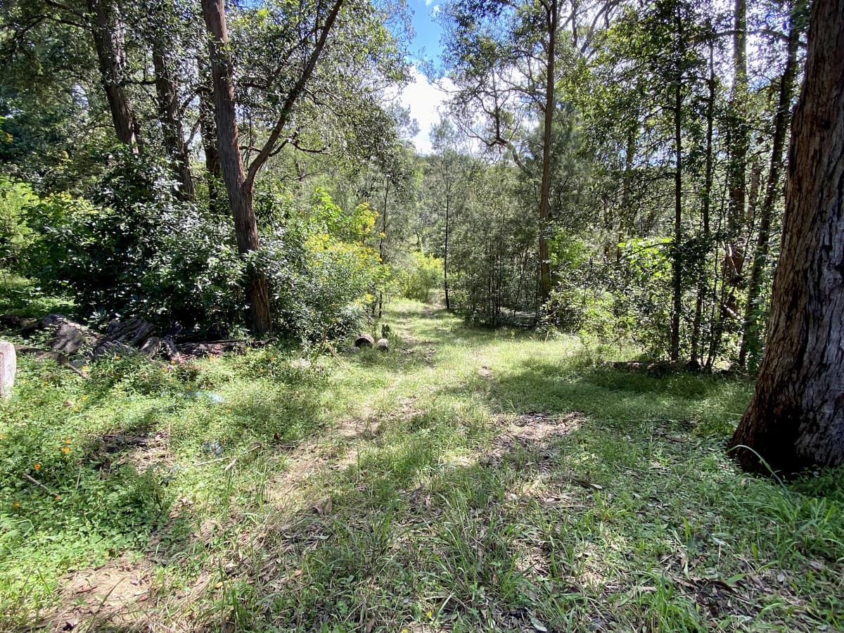 4B Coramandel Avenue, Winmalee, Winmalee - Thumbnail 6