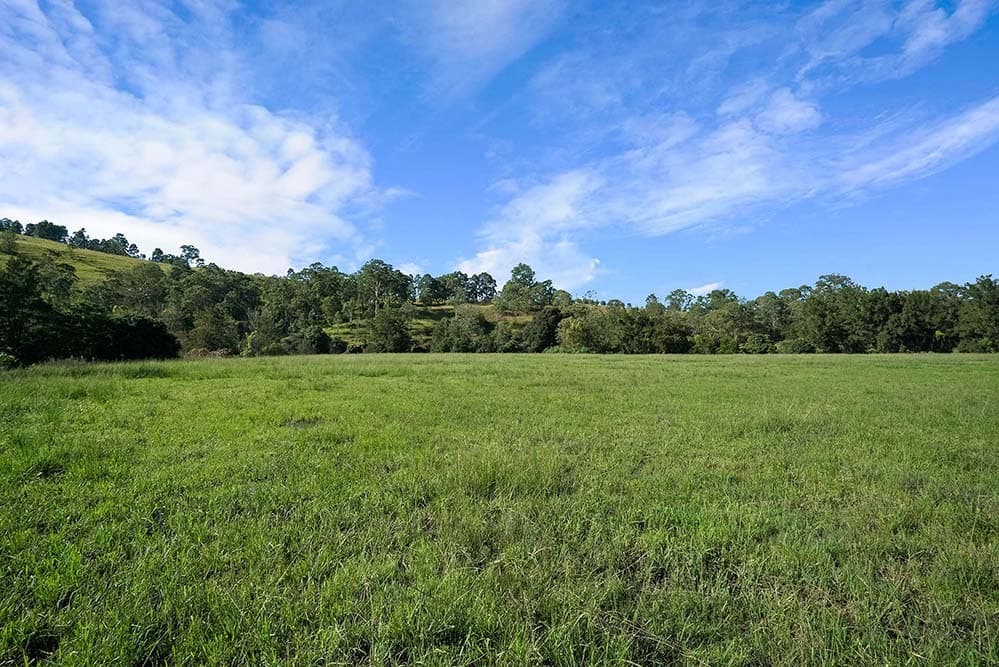 723 Paterson River Road, Gresford, Gresford - Thumbnail 4