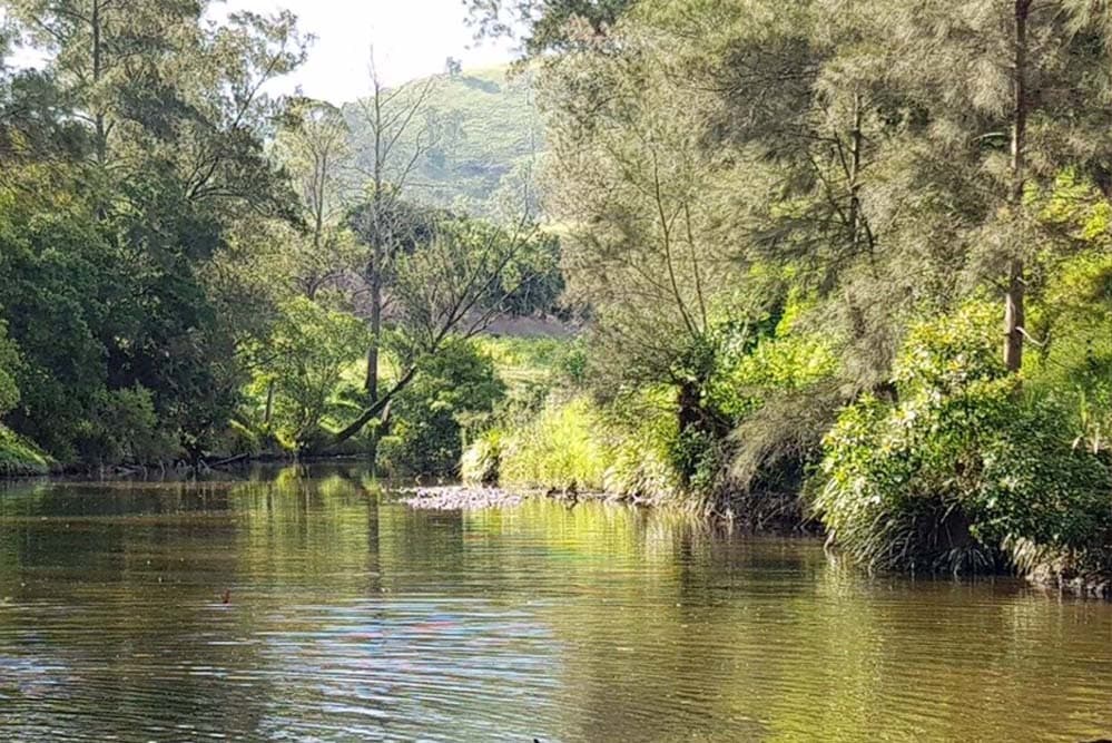 723 Paterson River Road, Gresford, Gresford - Thumbnail 5