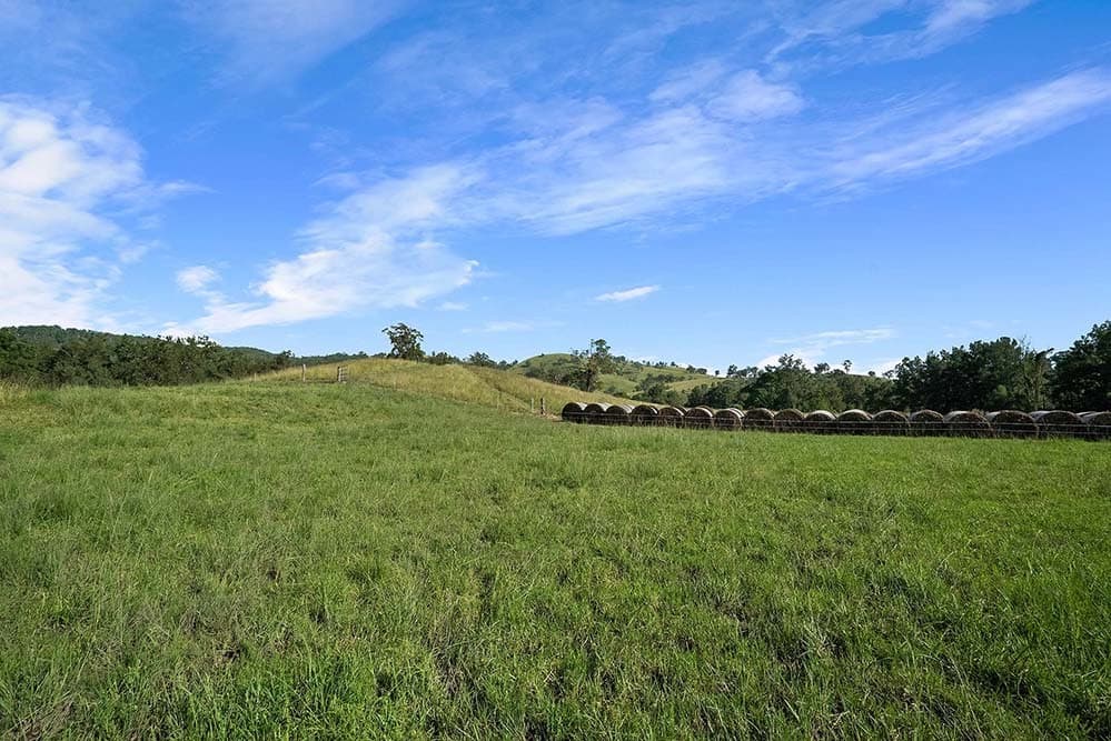 723 Paterson River Road, Gresford, Gresford - Thumbnail 6