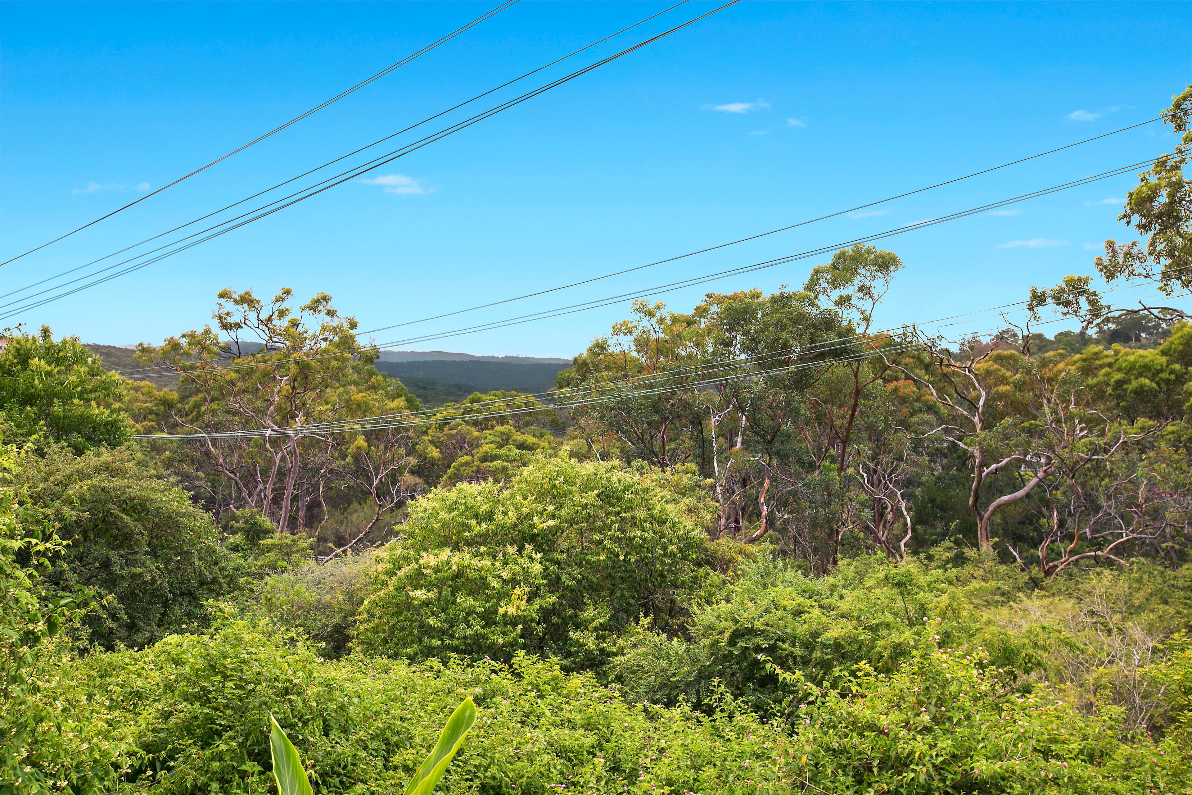 12A Wakehurst Parkway, Frenchs Forest, Frenchs Forest - Thumbnail 2
