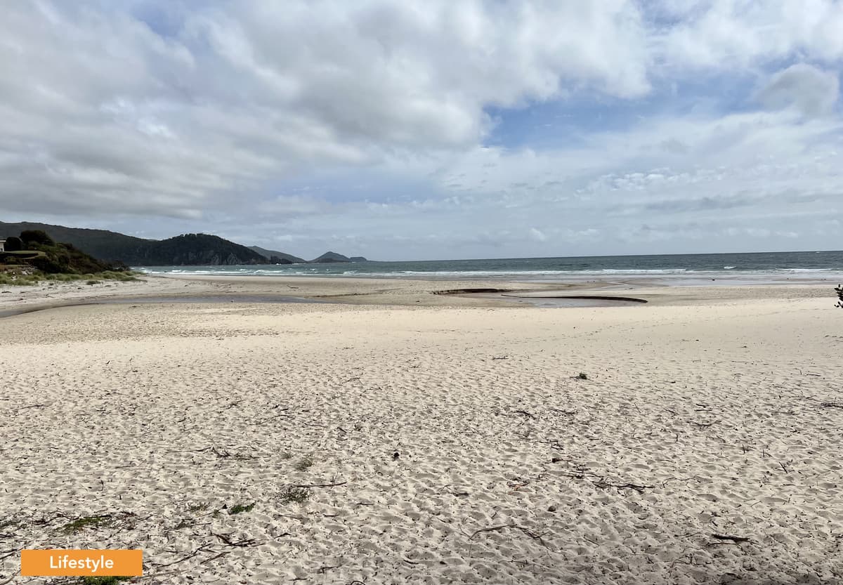 41 Serrata Crescent, Sisters Beach, Sisters Beach - Thumbnail 6