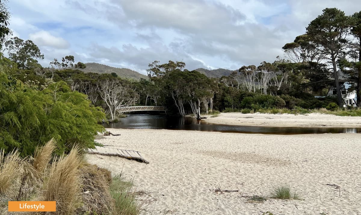 41 Serrata Crescent, Sisters Beach, Sisters Beach - Thumbnail 7