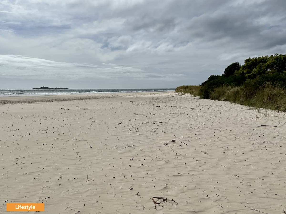 41 Serrata Crescent, Sisters Beach, Sisters Beach - Thumbnail 8