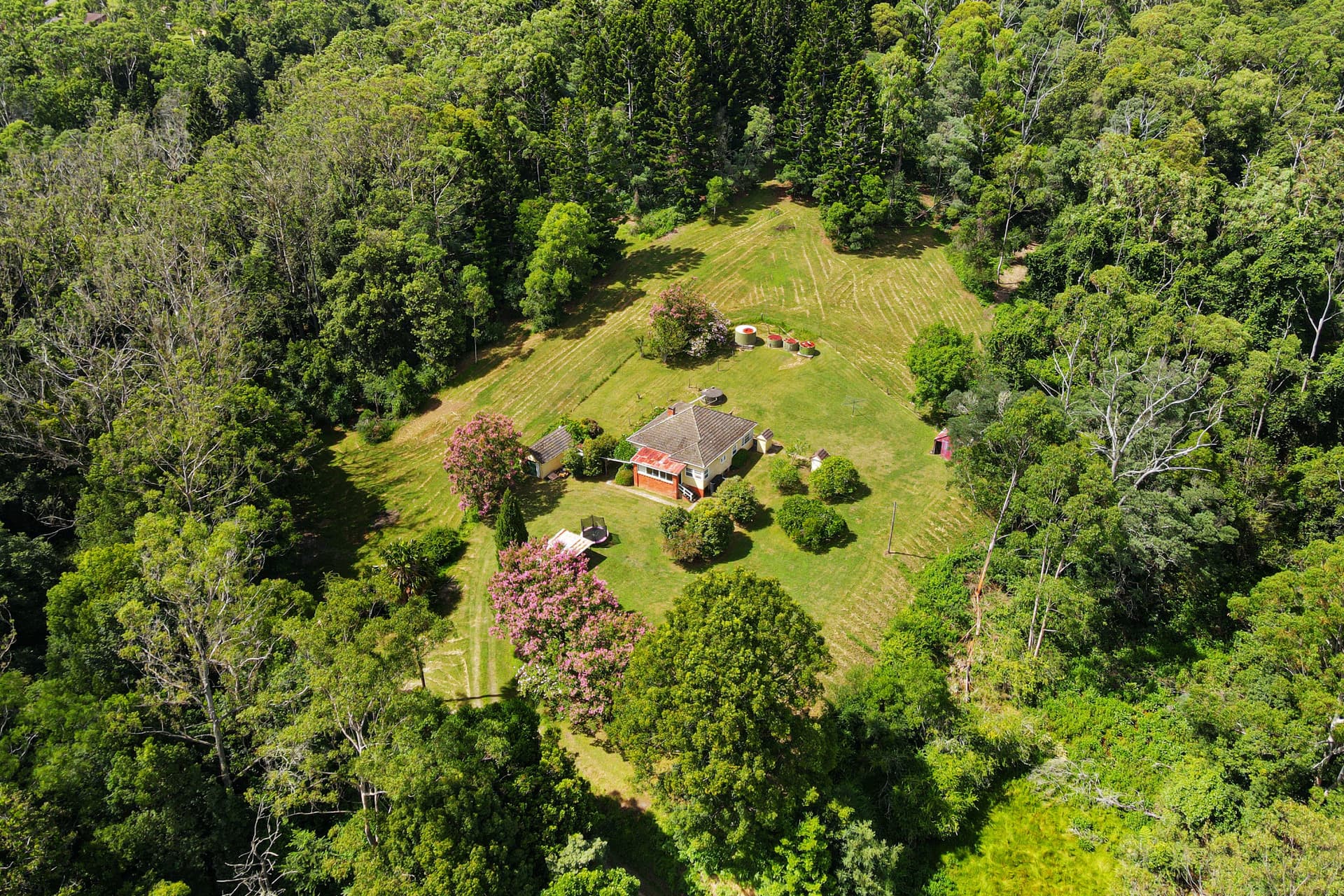 29 Bishendens Road, Lisarow, Lisarow - Thumbnail 2