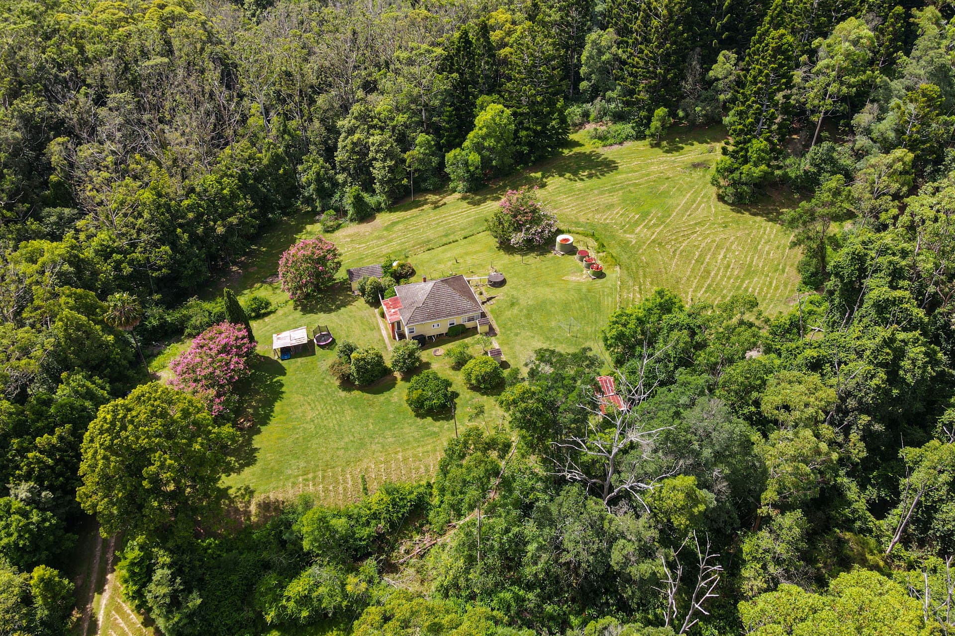 29 Bishendens Road, Lisarow, Lisarow - Thumbnail 3