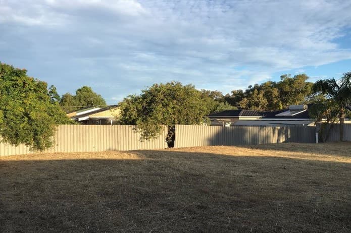 29A Honister Close, Balga, Balga - Thumbnail 4