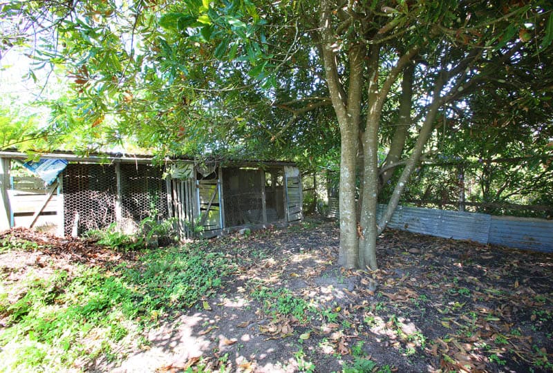 267 South Island Loop Road, Upper Orara, Upper Orara - Thumbnail 8