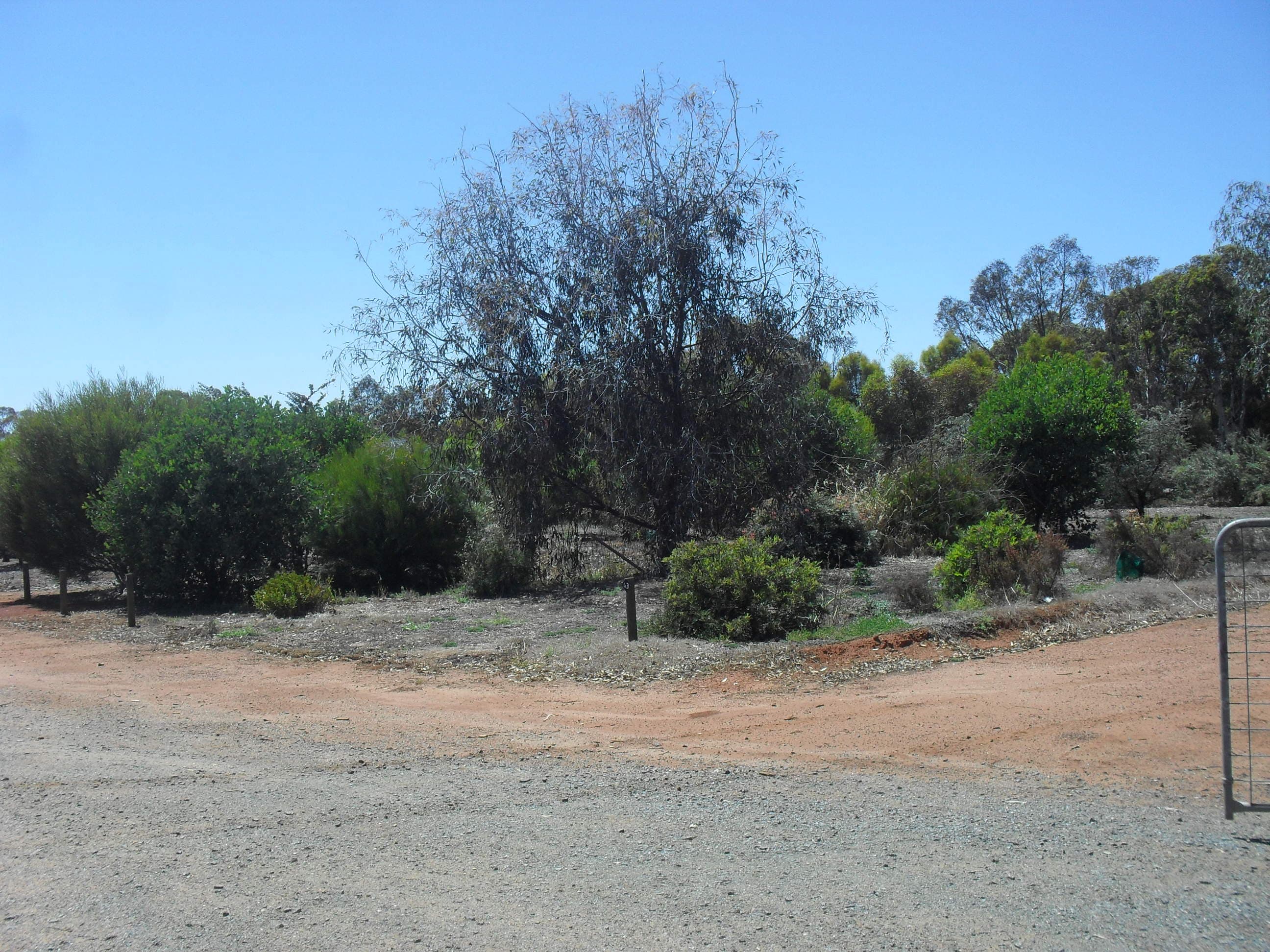 125 Bodey Street, Brookton, Brookton - Thumbnail 3