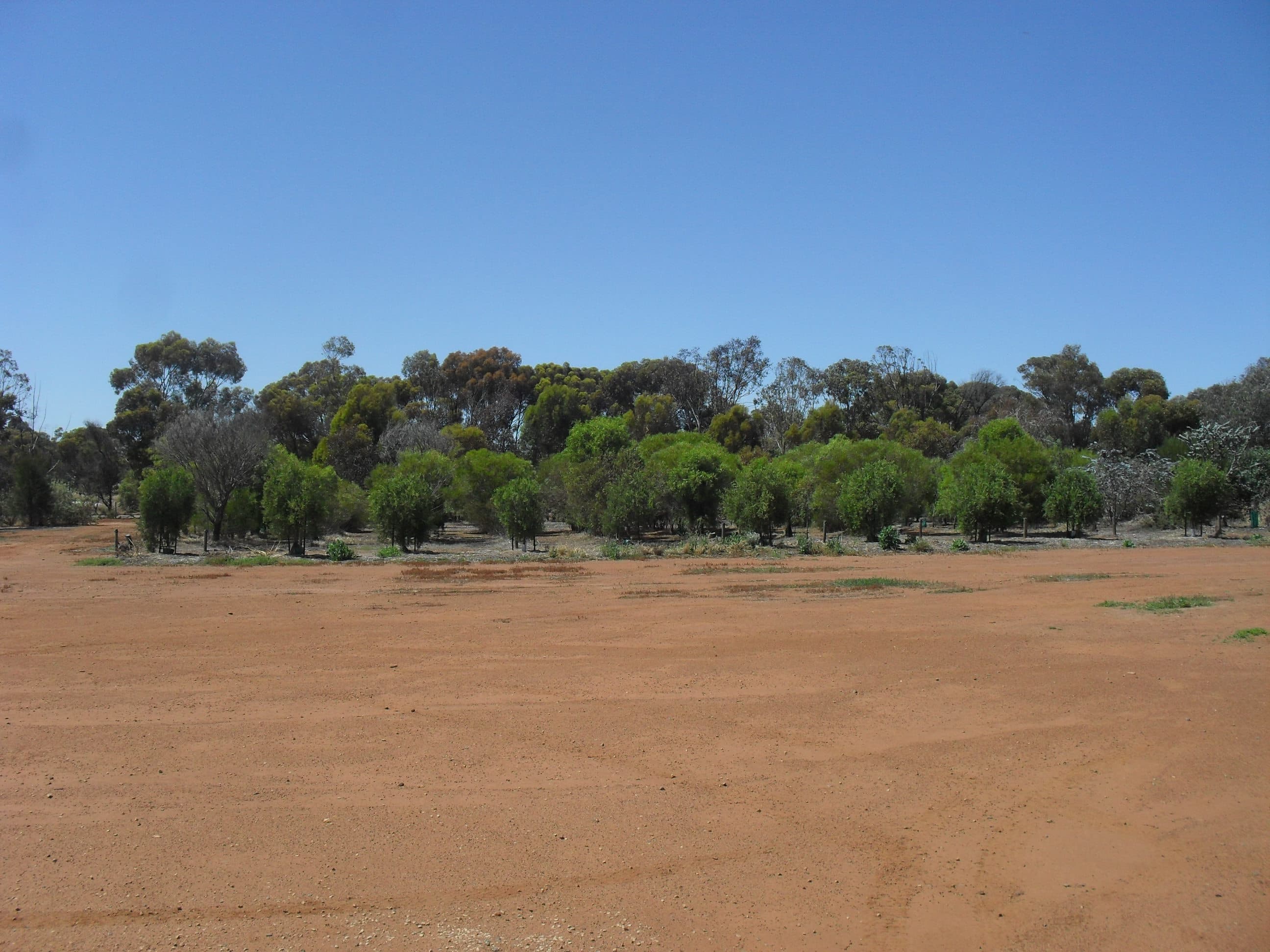 125 Bodey Street, Brookton, Brookton - Thumbnail 7