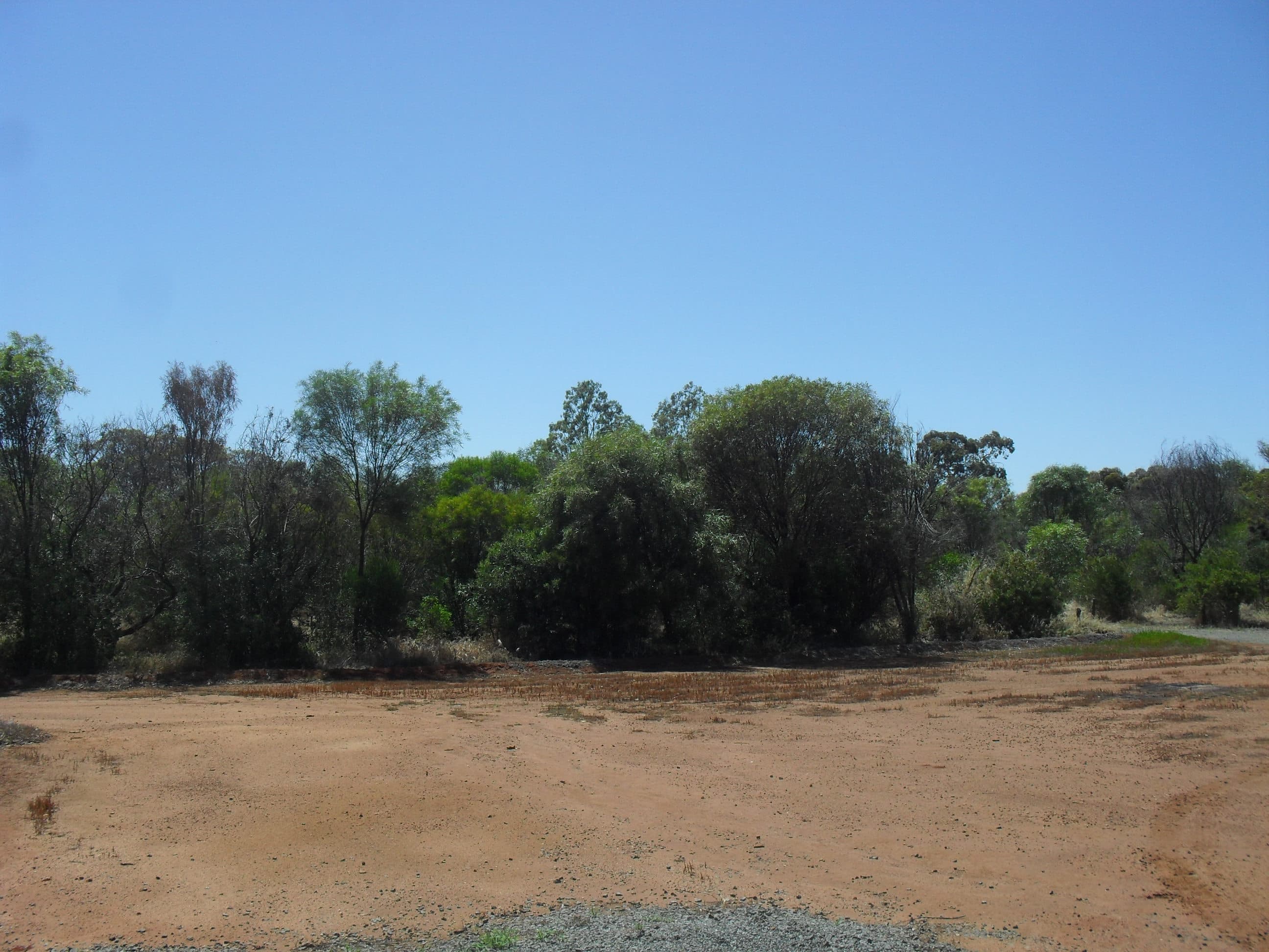 125 Bodey Street, Brookton, Brookton - Thumbnail 8