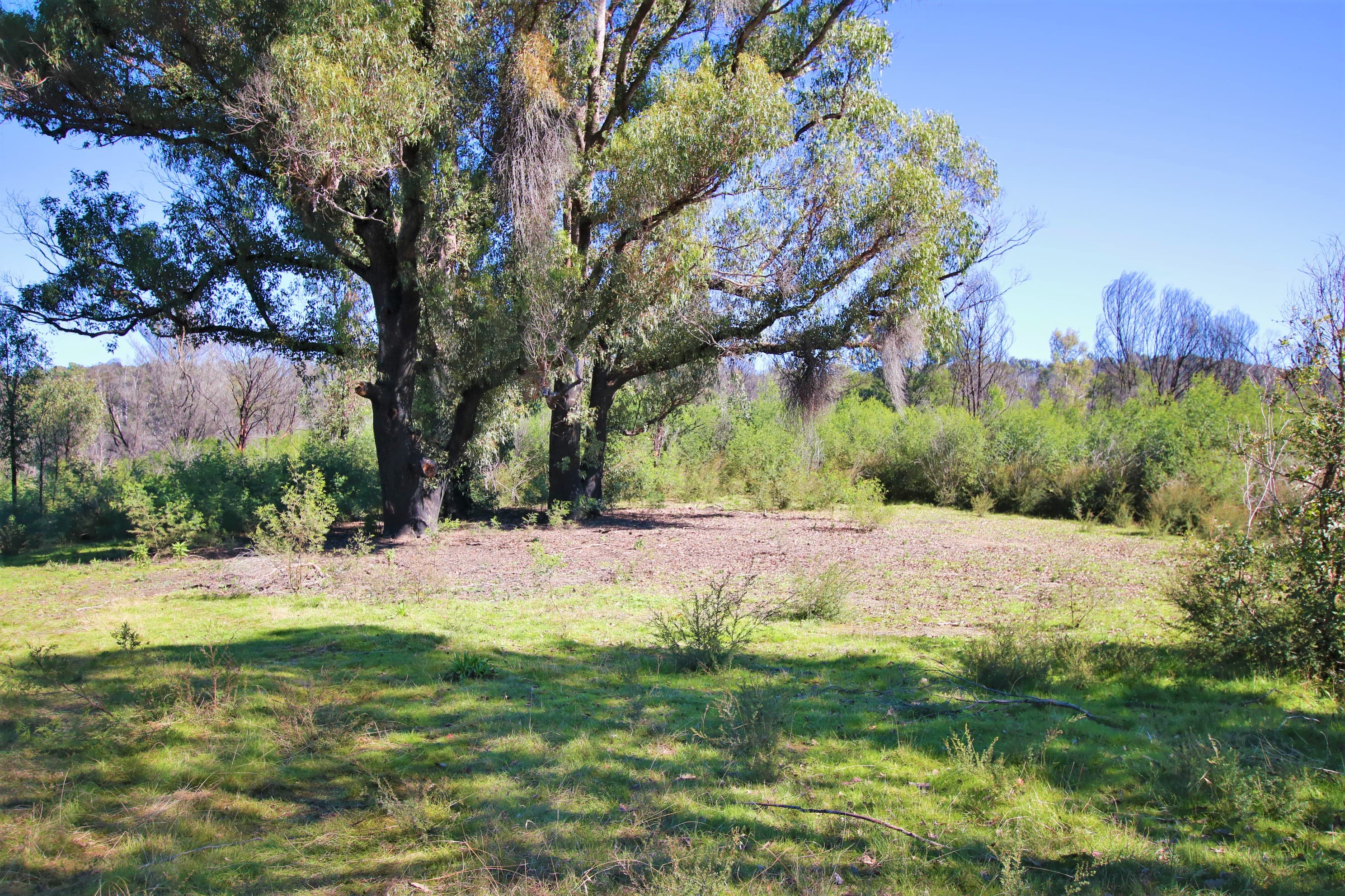 5177 Monaro Highway, Rockton, Rockton - Thumbnail 2
